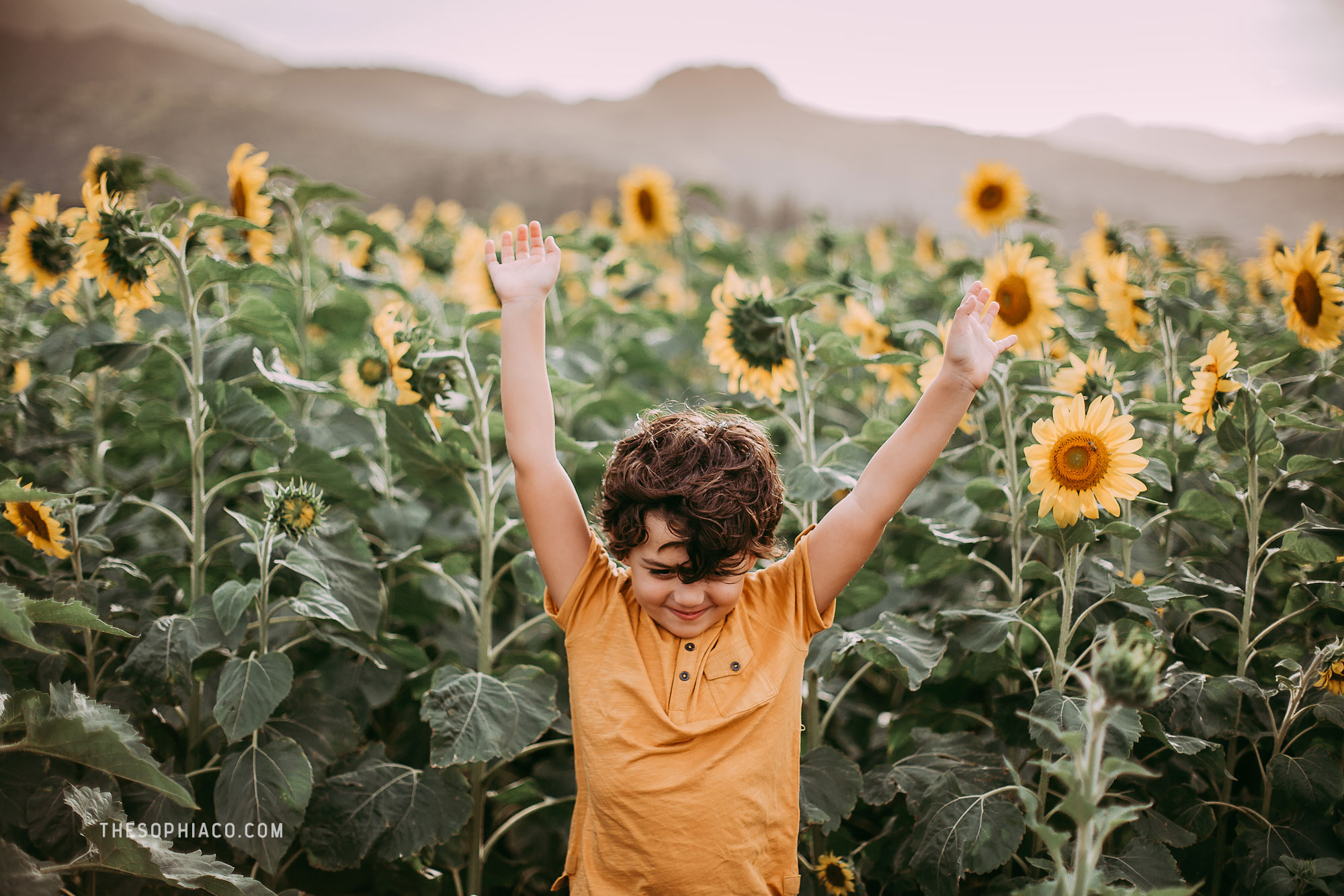 waialua-sunflowers-oahu-family-photography-01.jpg