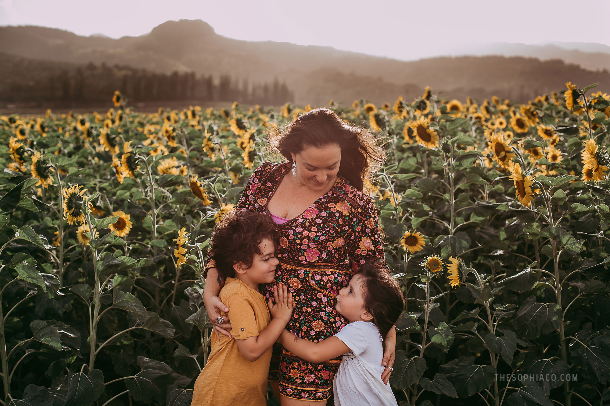 waialua-sunflowers-oahu-family-photography-05.jpg