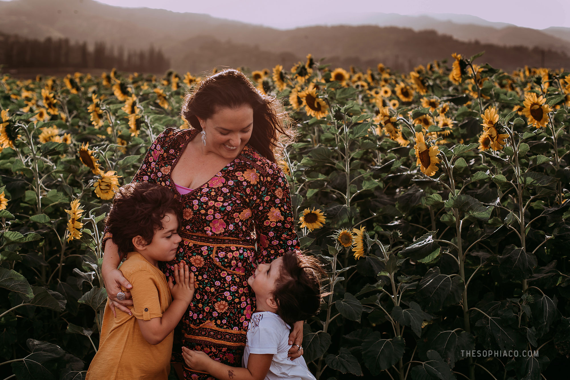 waialua-sunflowers-oahu-family-photography-06.jpg