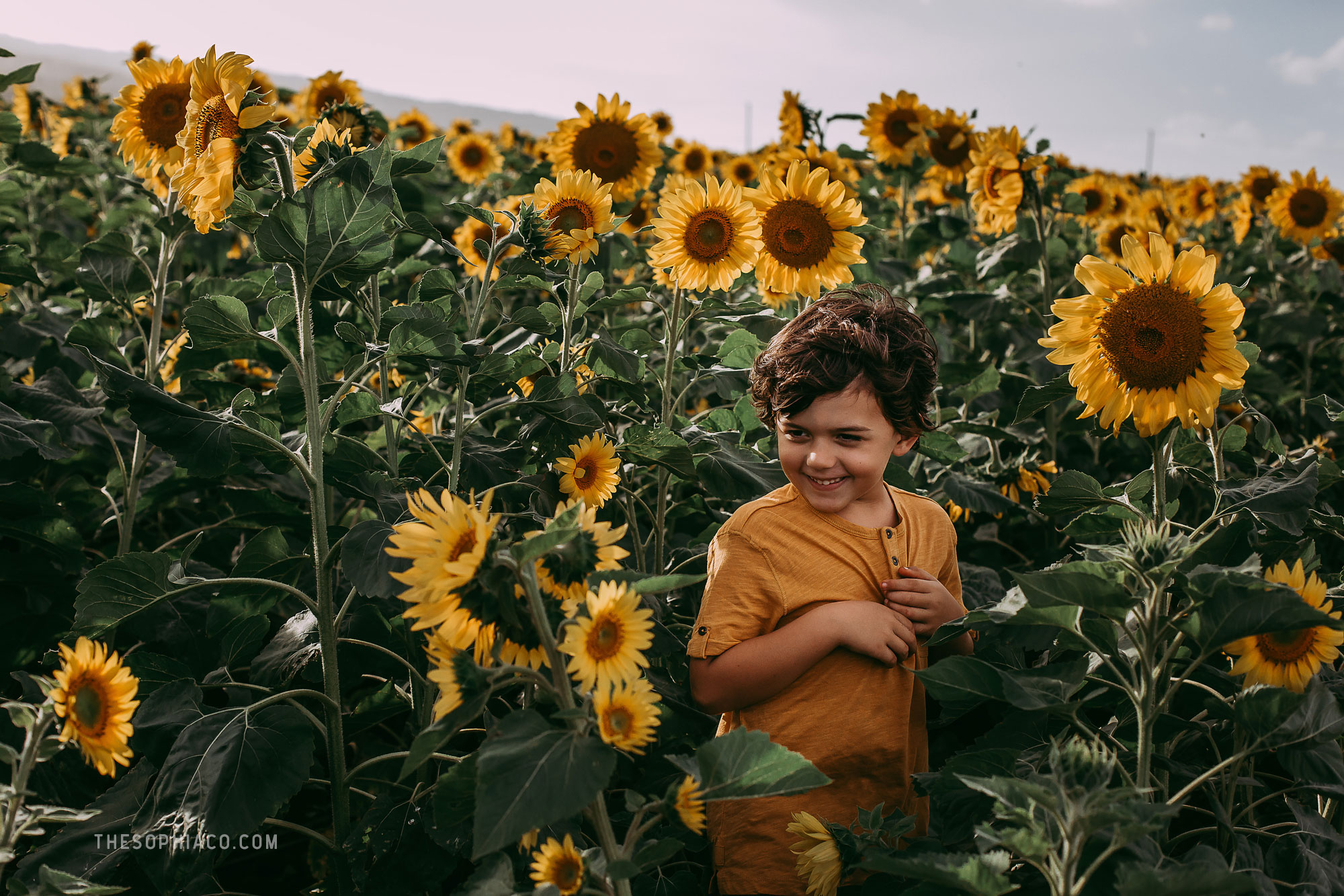 waialua-sunflowers-oahu-family-photography-08.jpg