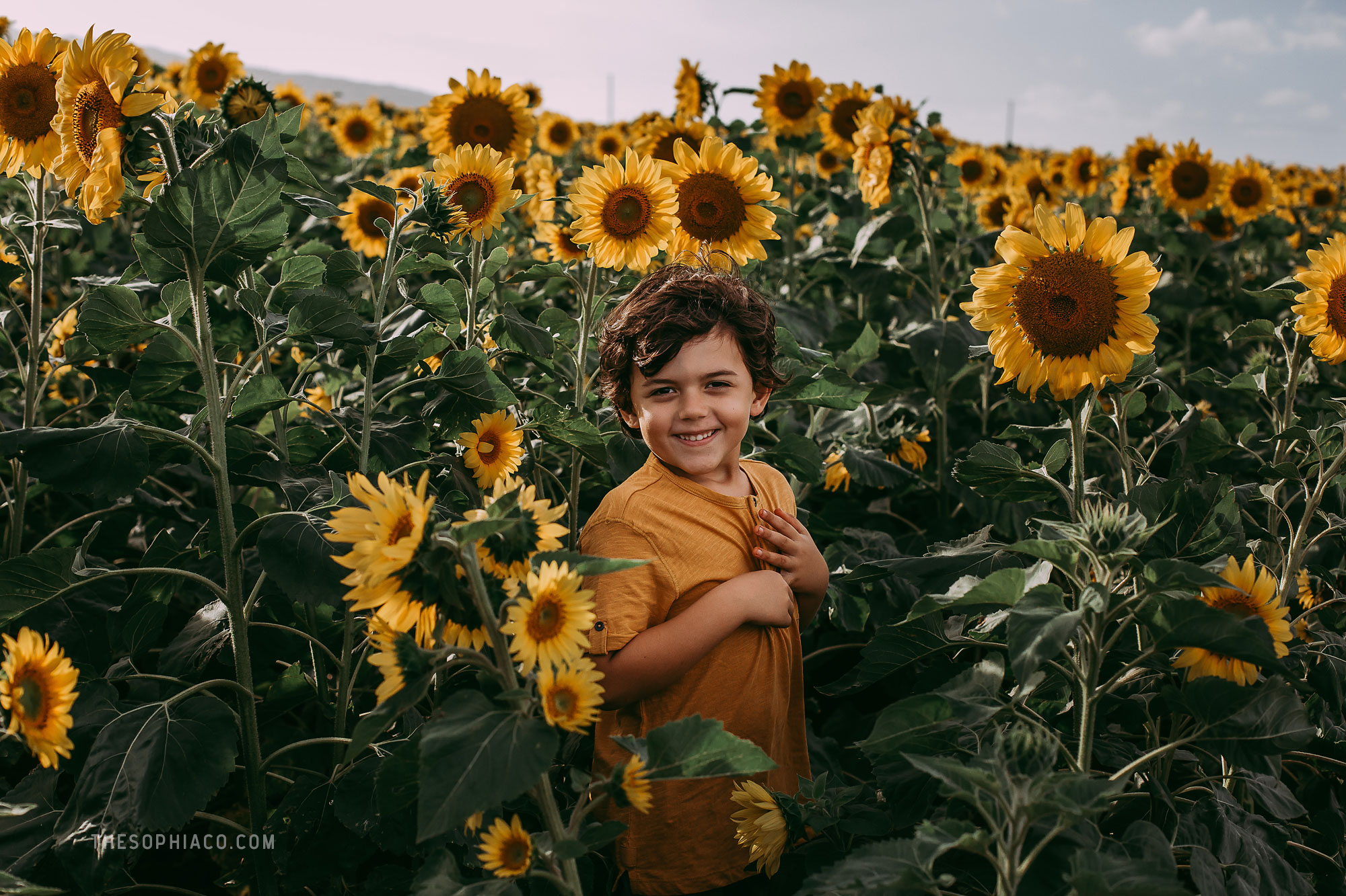 waialua-sunflowers-oahu-family-photography-07.jpg