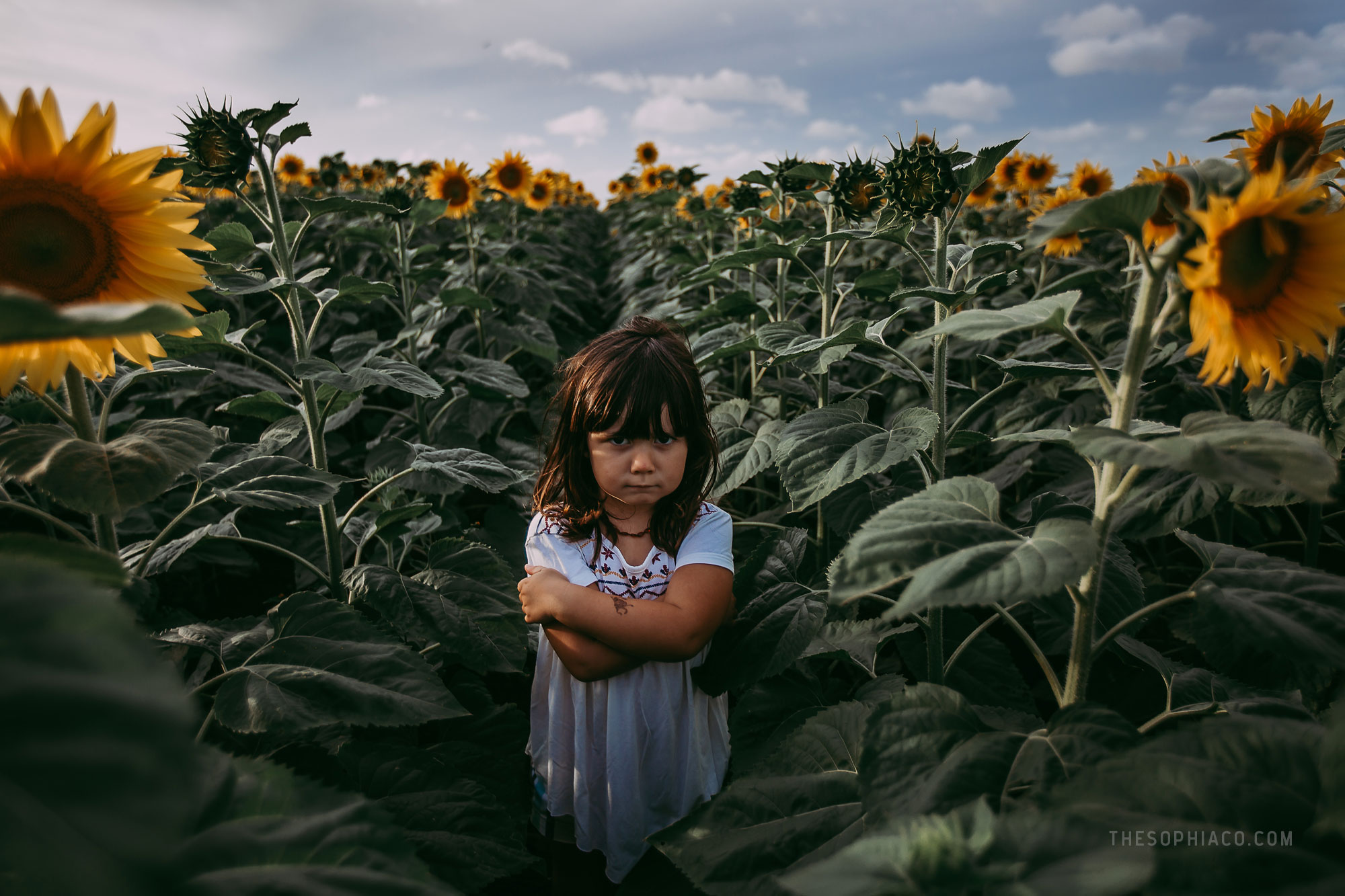waialua-sunflowers-oahu-family-photography-12.jpg