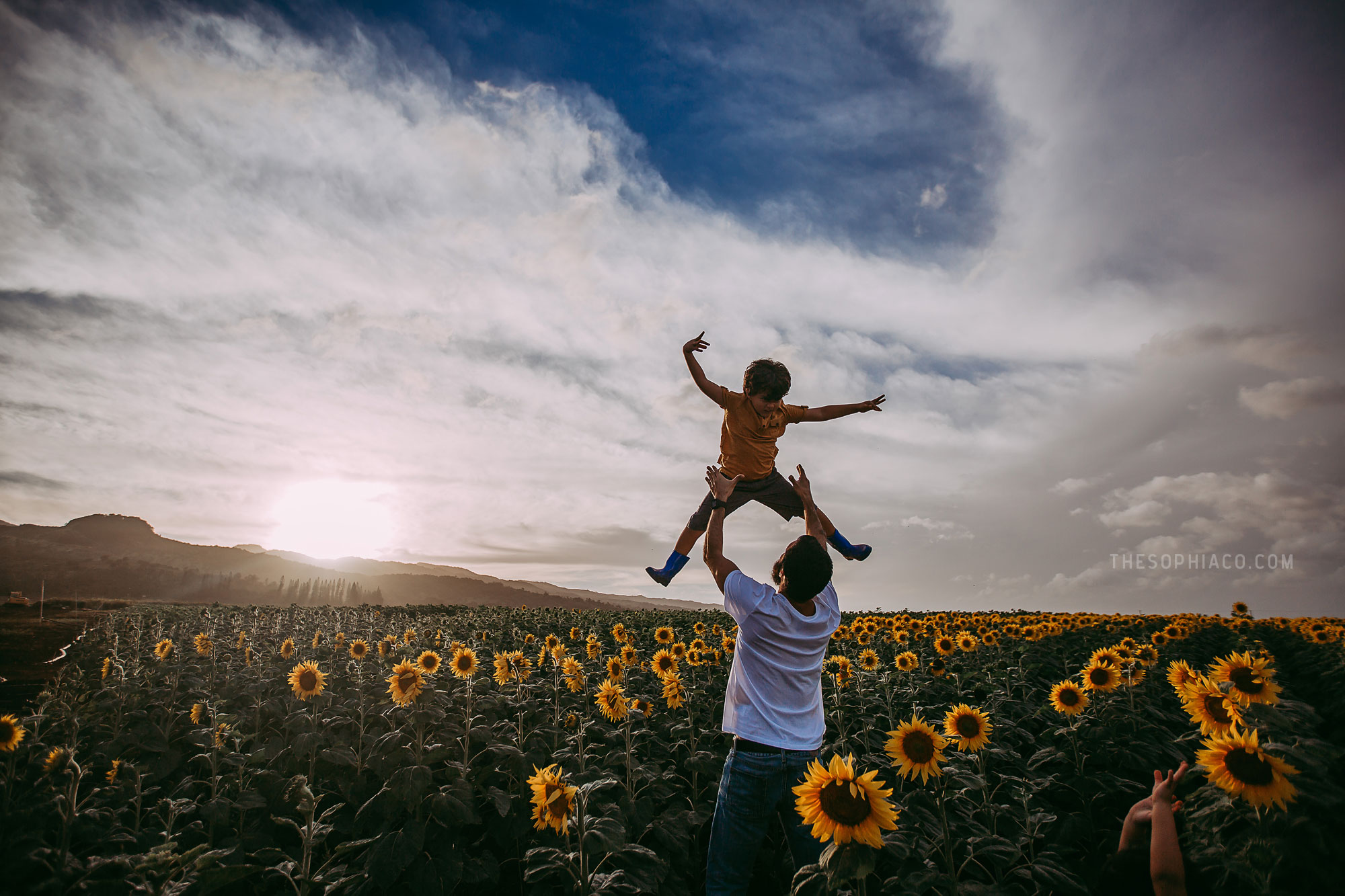 waialua-sunflowers-oahu-family-photography-19.jpg