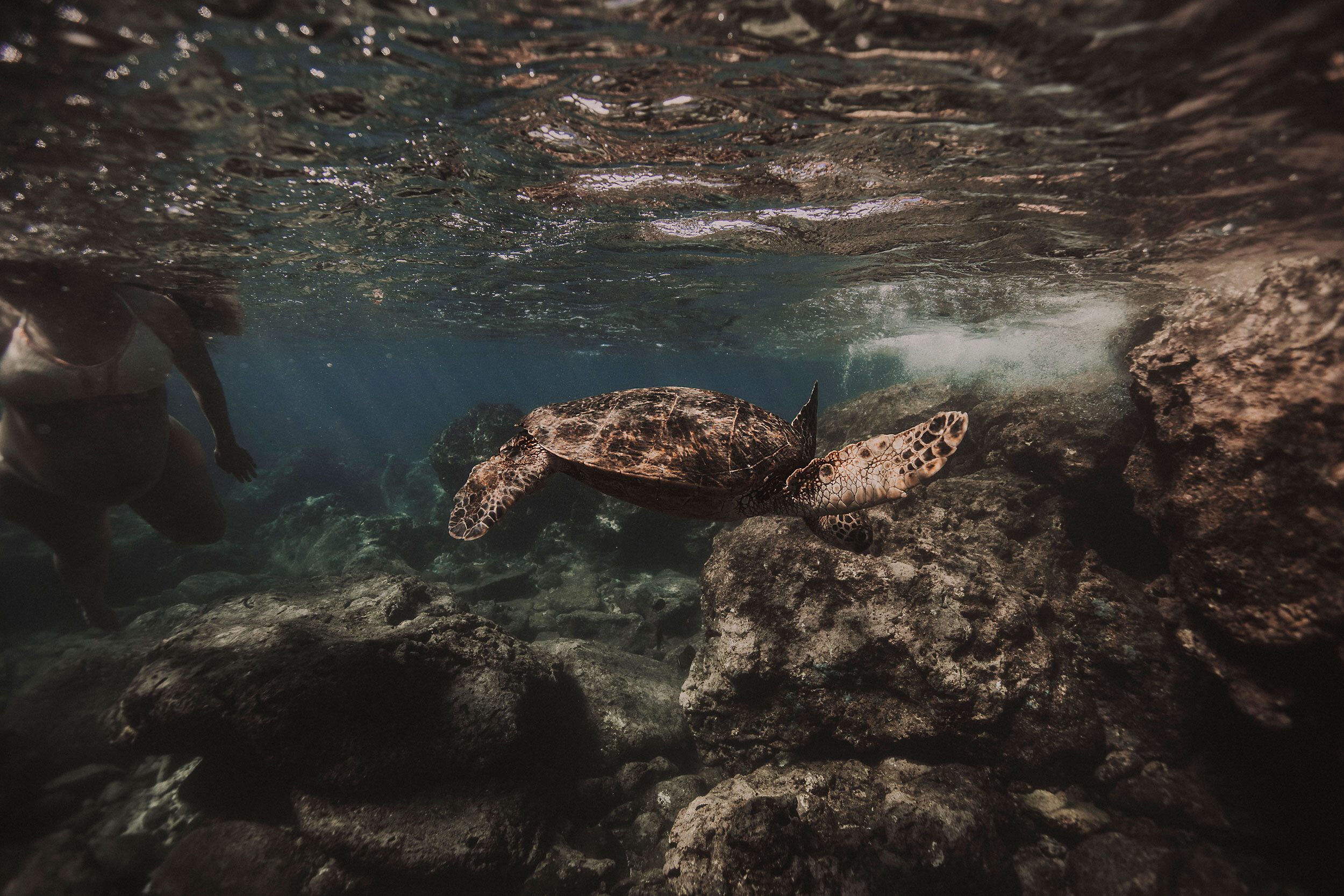 Oahu-Underwater-Photographer-08.jpg