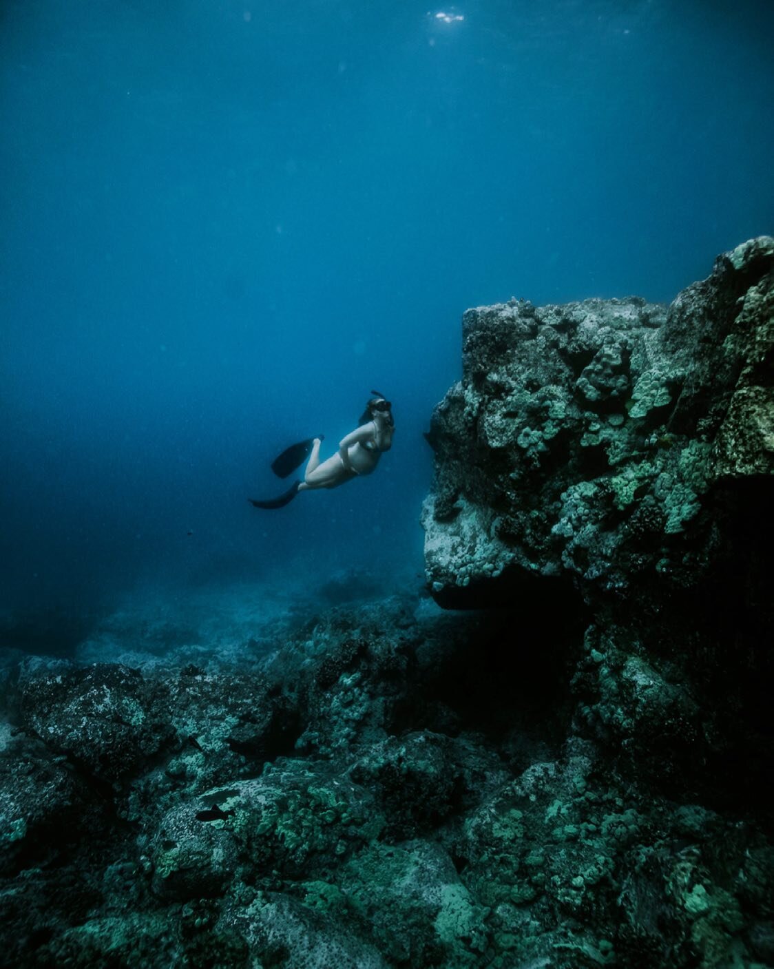 On a ✈️ to the Big Island... Last time I was there this is what the water looked like. So excited to dive with manta rays tonight and shoot pregnant mermaids tomorrow for a mentoring session 💙💦 #sophiaunderwater