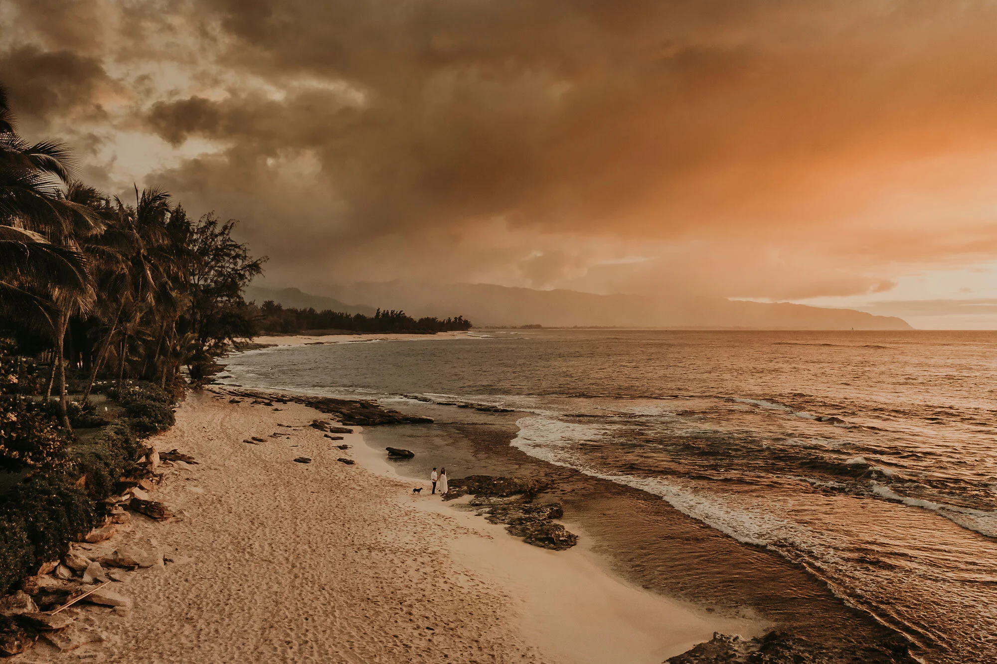 Beautiful Rainy North Shore Sunset with their four-legged baby | Haleiwa, Hawaii Maternity Photographer