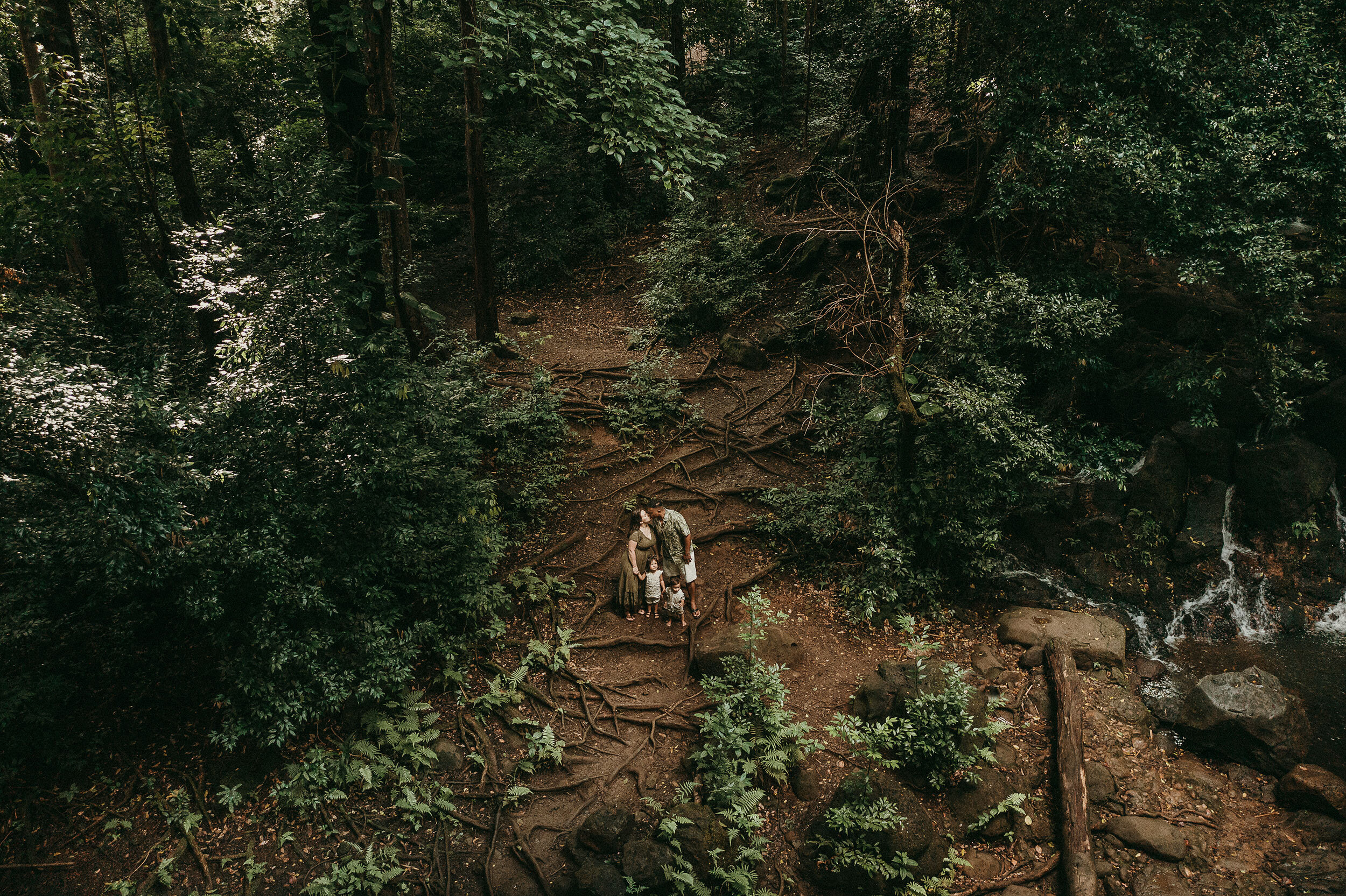 jungle-family-pictures-hawaii-oahu-019.jpg