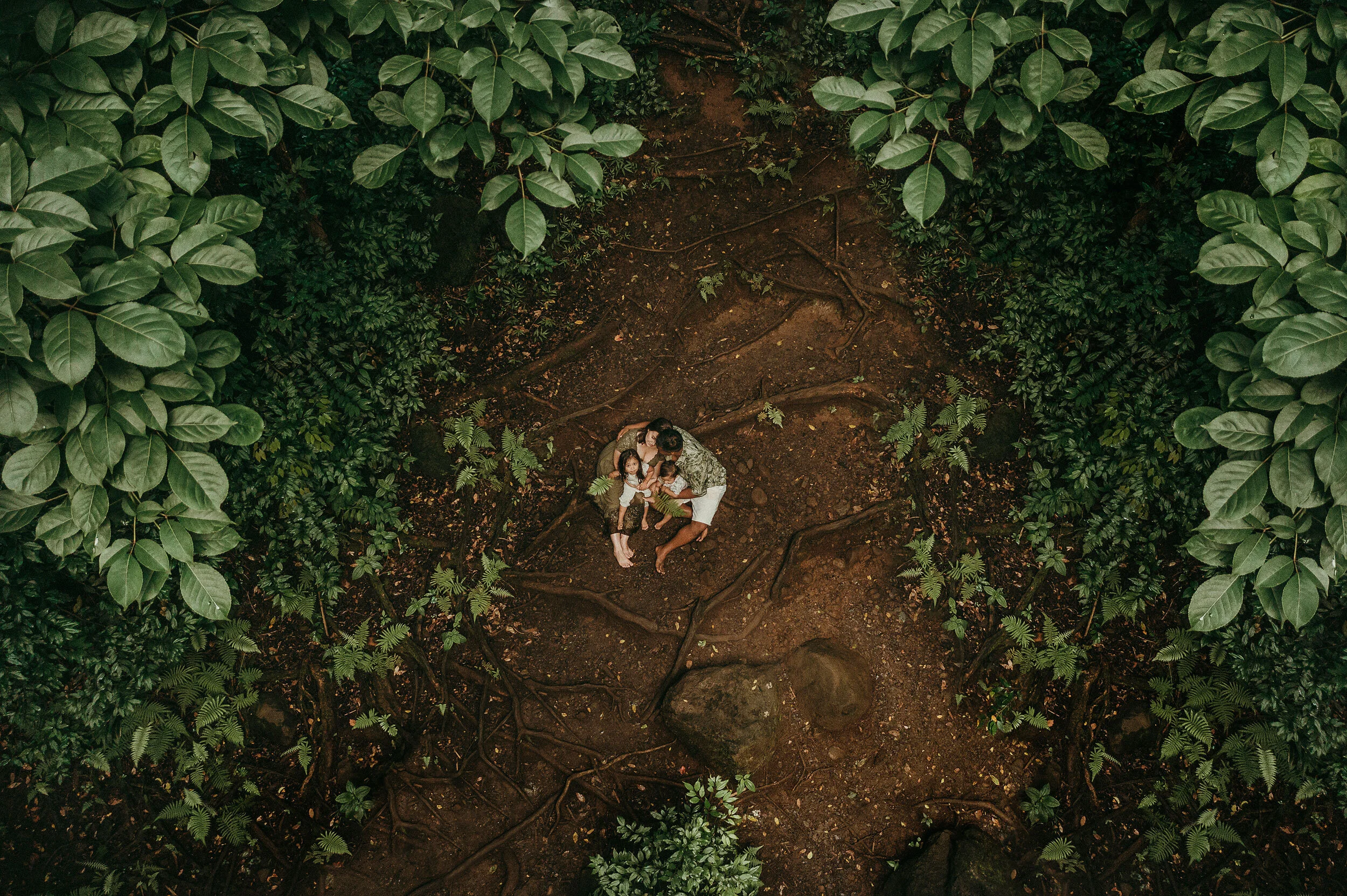 Jungle Family Adventure | Hawaii Family Photographer