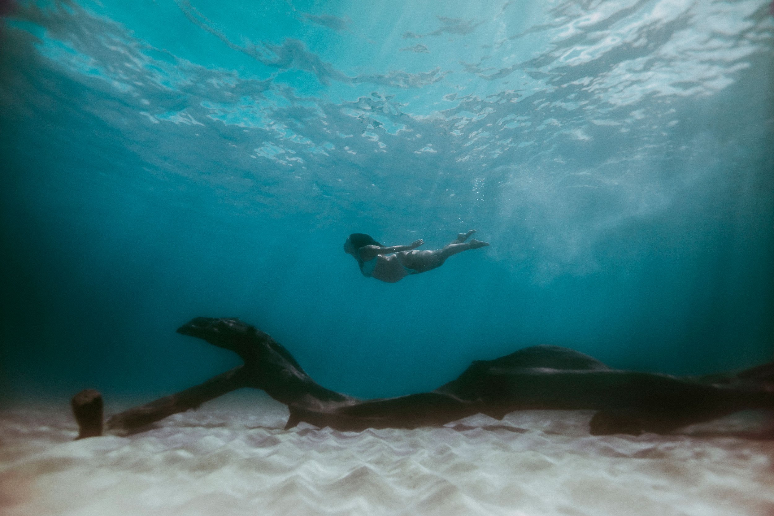 Kona-Big-Island-Underwater-Maternity-Photos-The-Sophia-Co-20.jpg