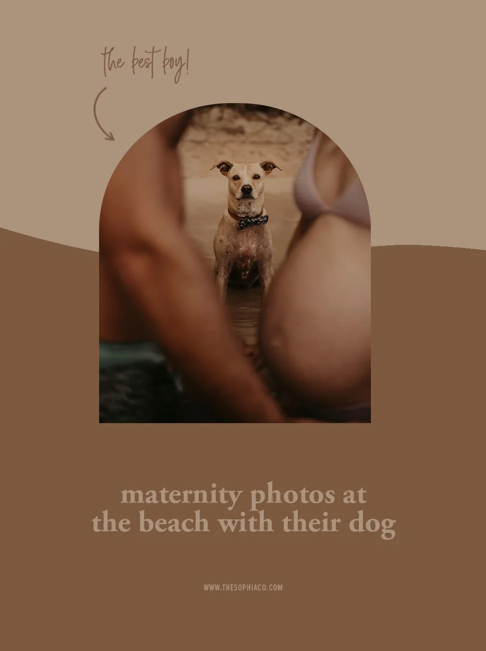 Maternity Photos at the Beach with their Dog // Oahu, Hawaii Maternity Photographer
