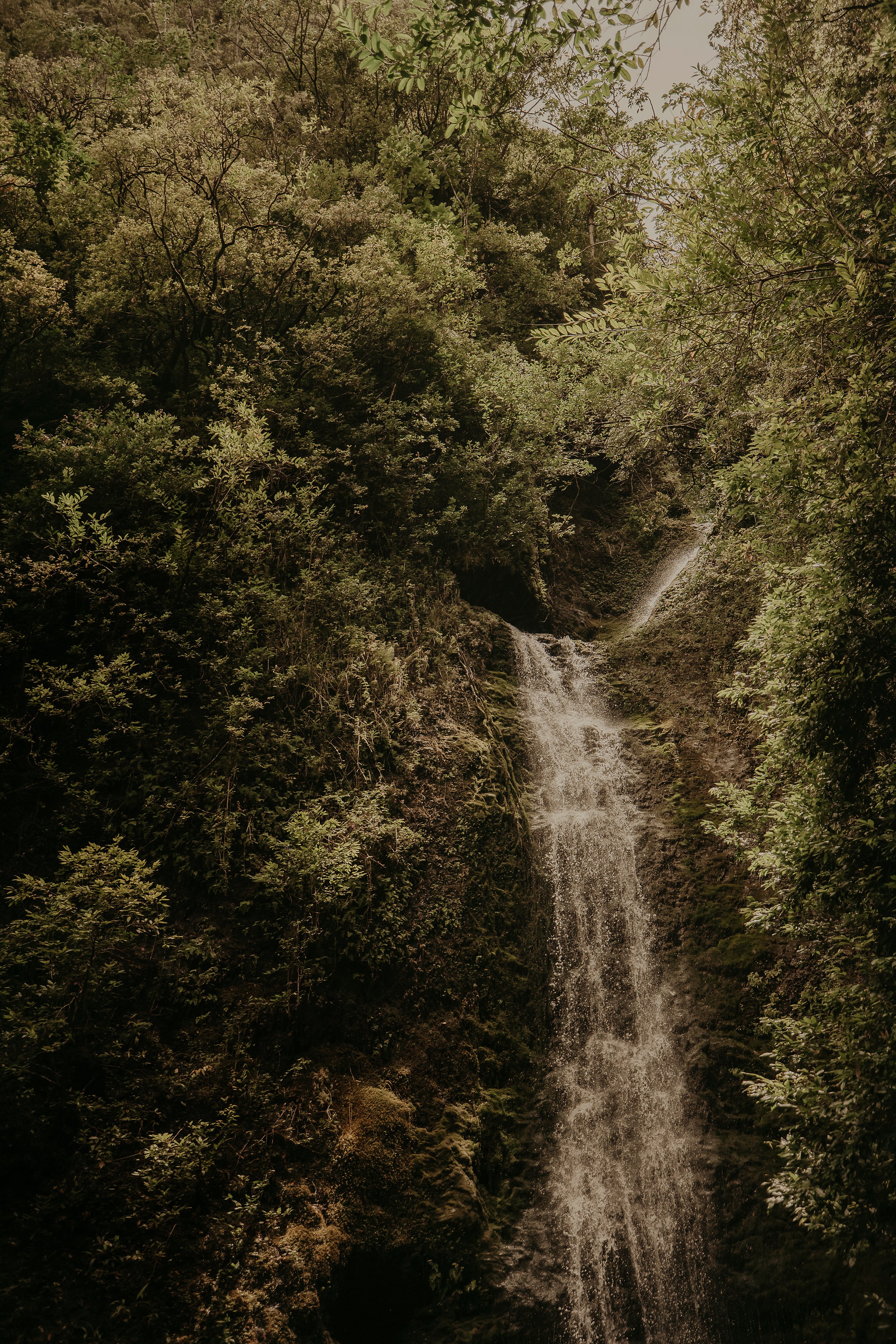 oahu-waterfall-maternity-photos-05.jpg