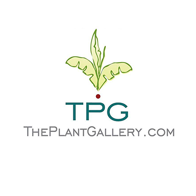 theplantgallery.png