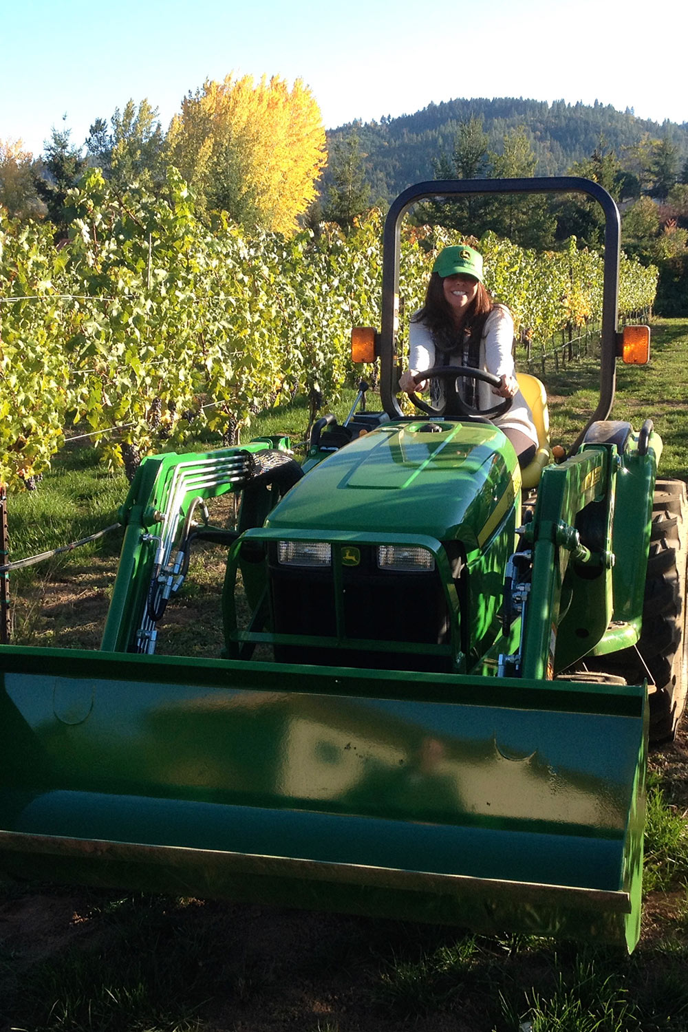 Driving the tractor through the vineyard