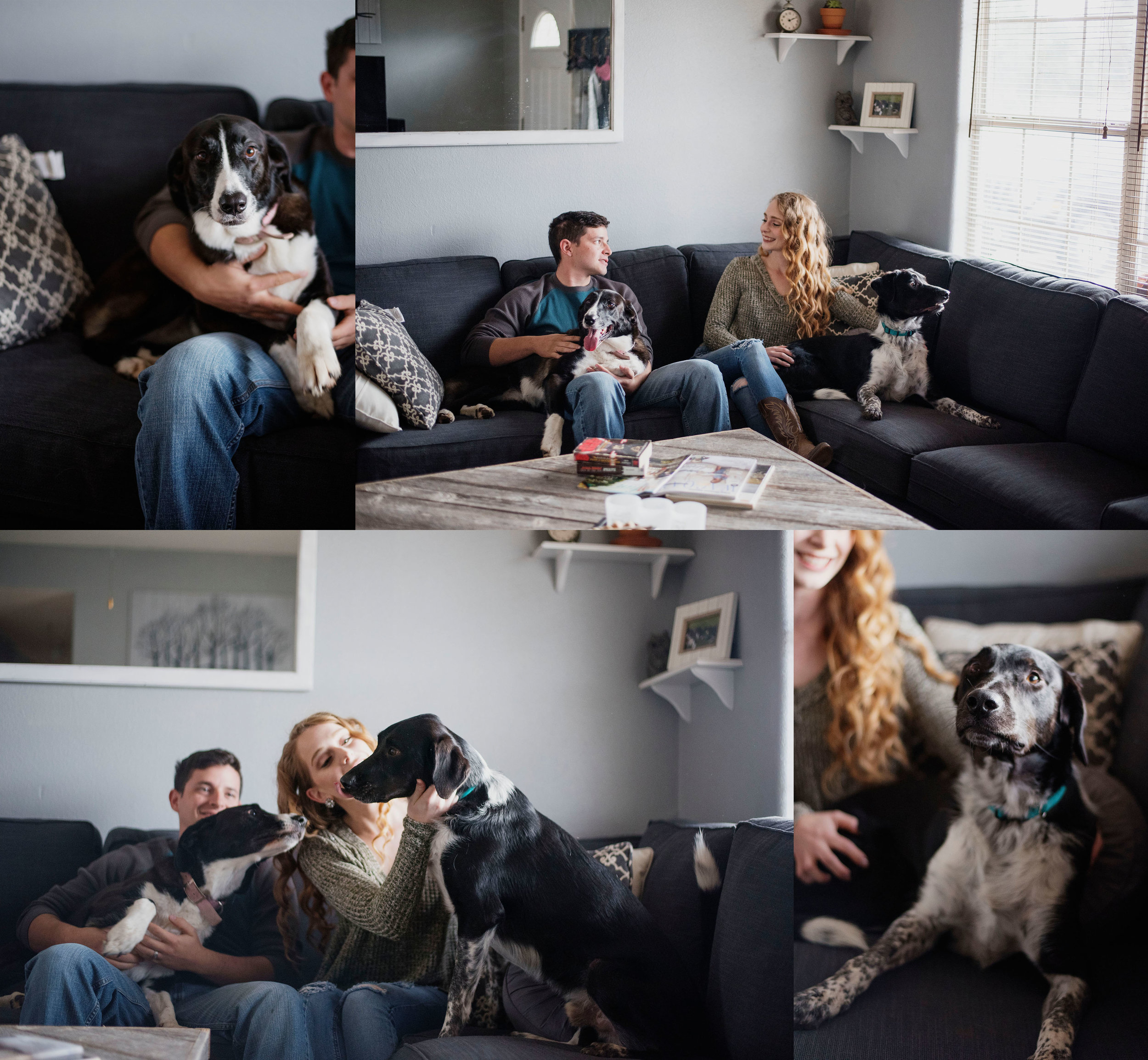 EffJay Photography Lees Summit Family Photographer inhome Lifestyle Session with dogs006.jpg