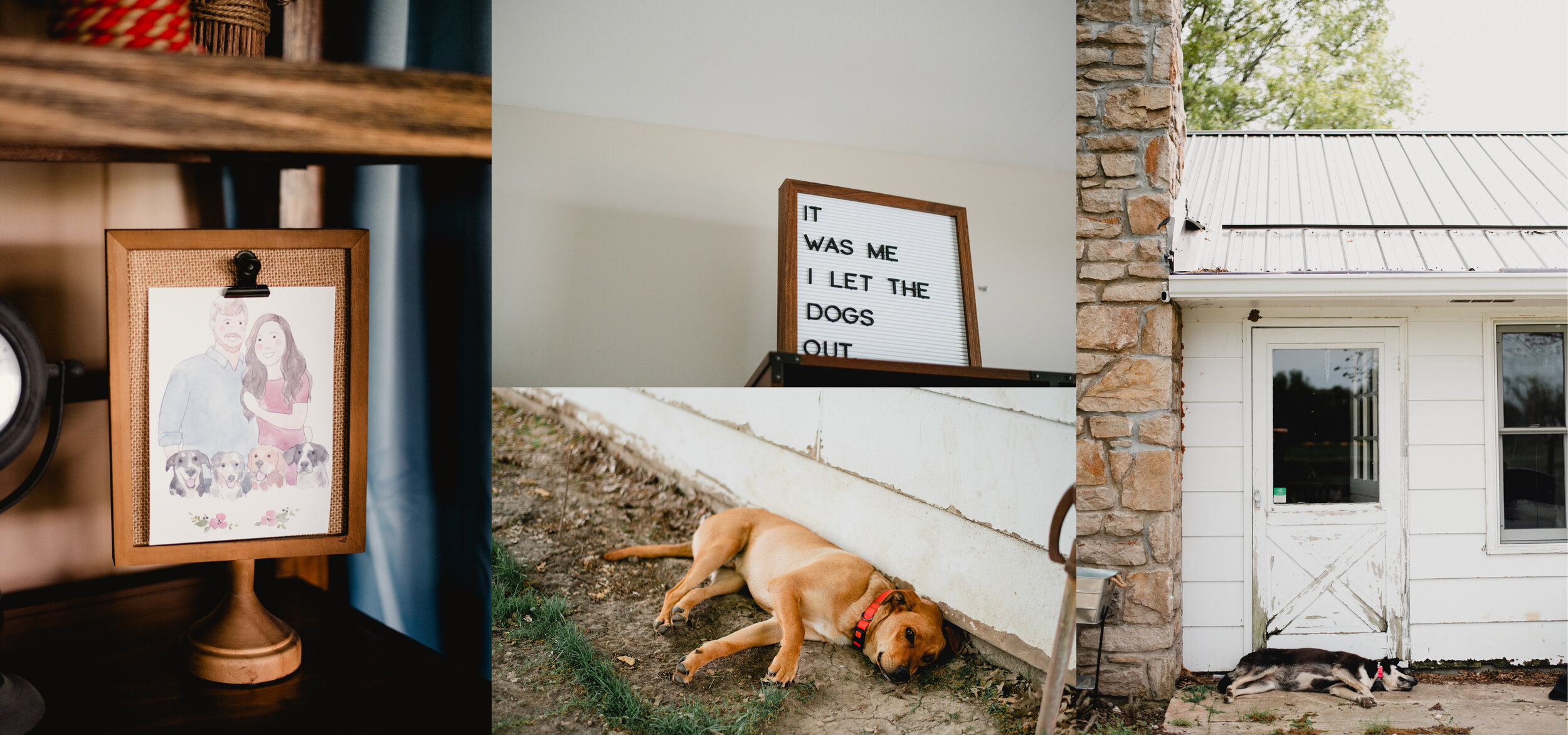 Kansas City Photographer EffJay Photography Backyard Wedding with Dogs 001.jpg