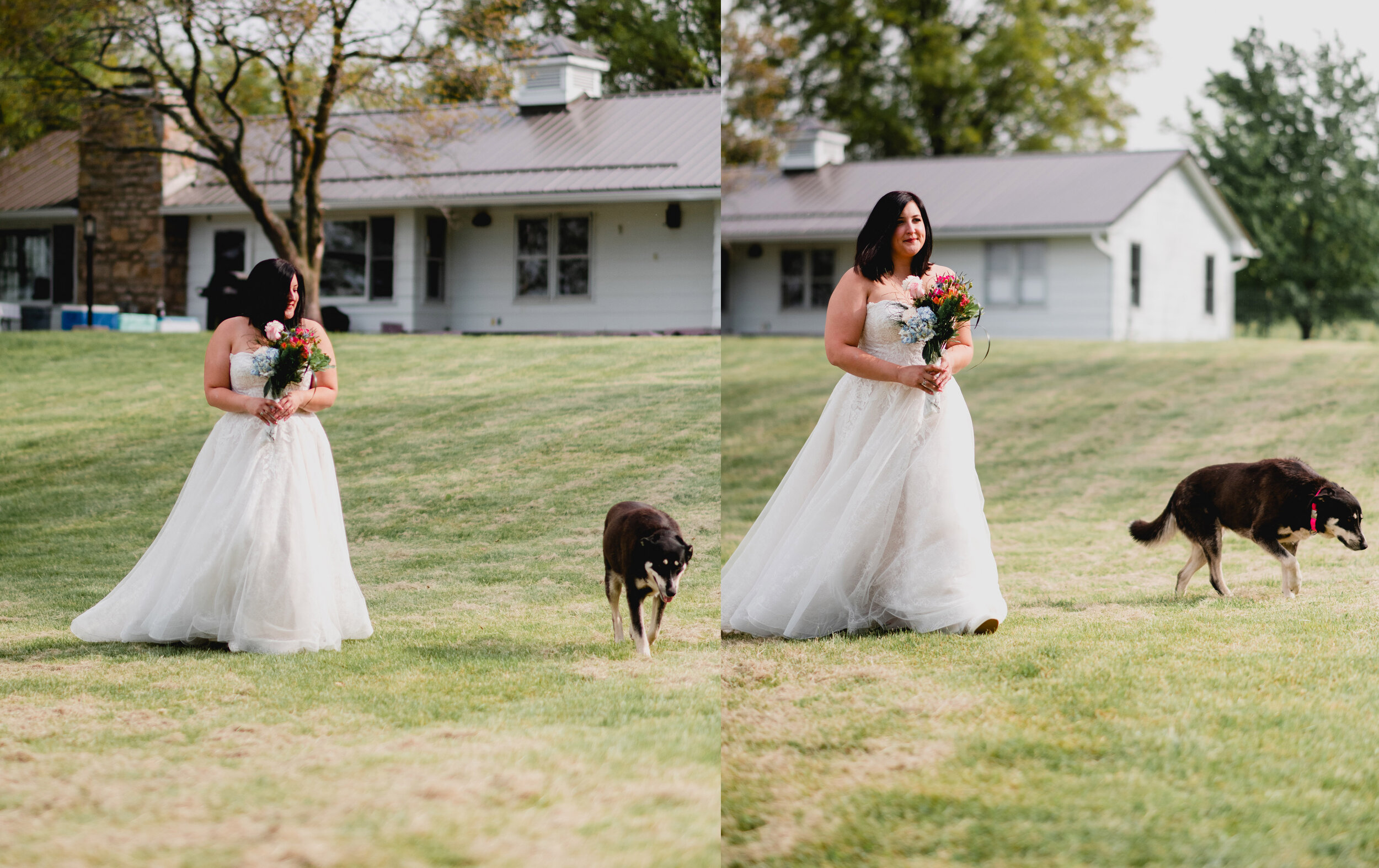 Kansas City Photographer EffJay Photography Backyard Wedding with Dogs 008.jpg