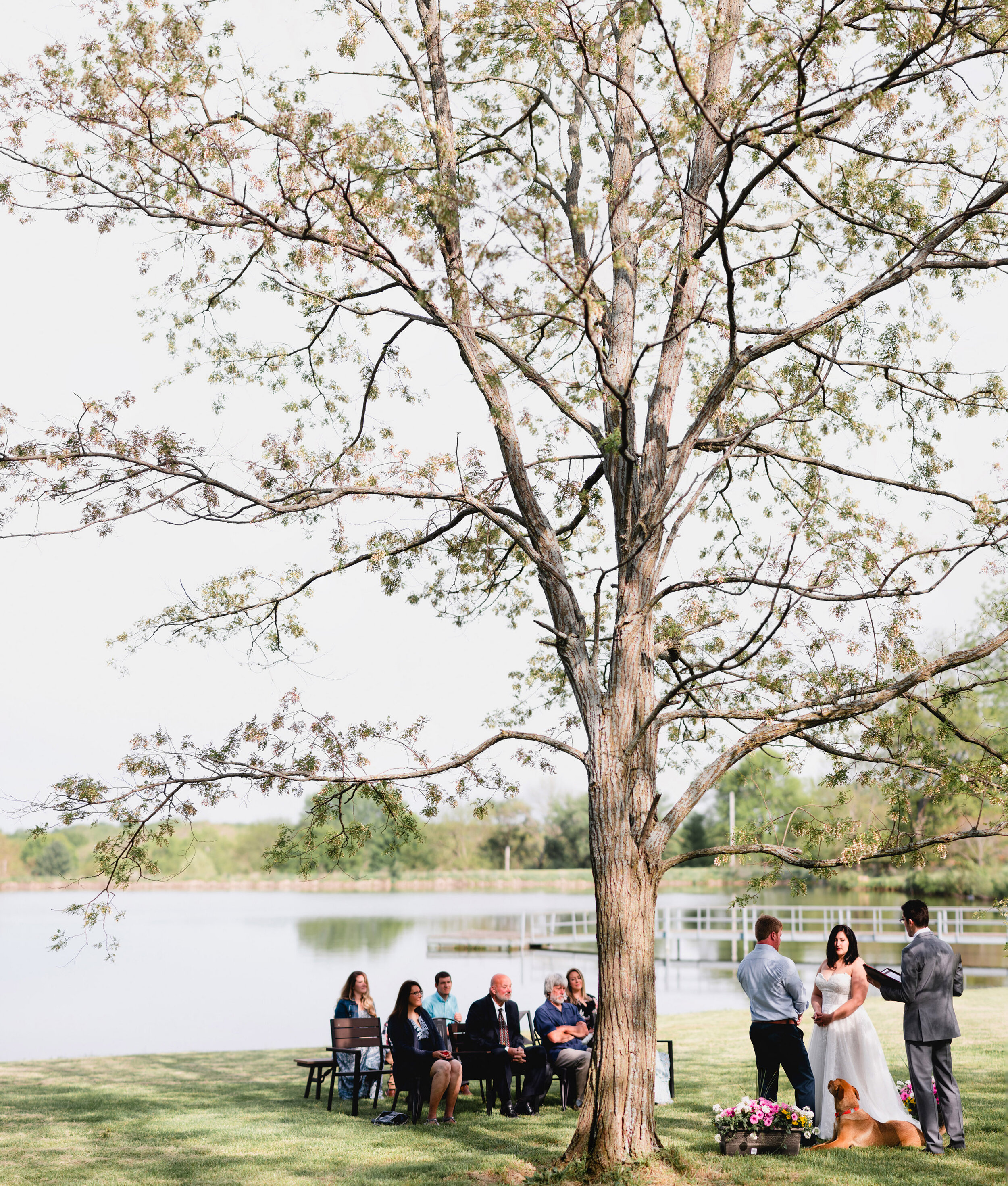 Kansas City Photographer EffJay Photography Backyard Wedding with Dogs 021.jpg