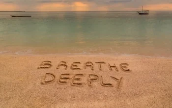 Deep Breathing Handout (pdf)