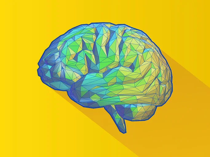 small size yellow and pink brain.jpg