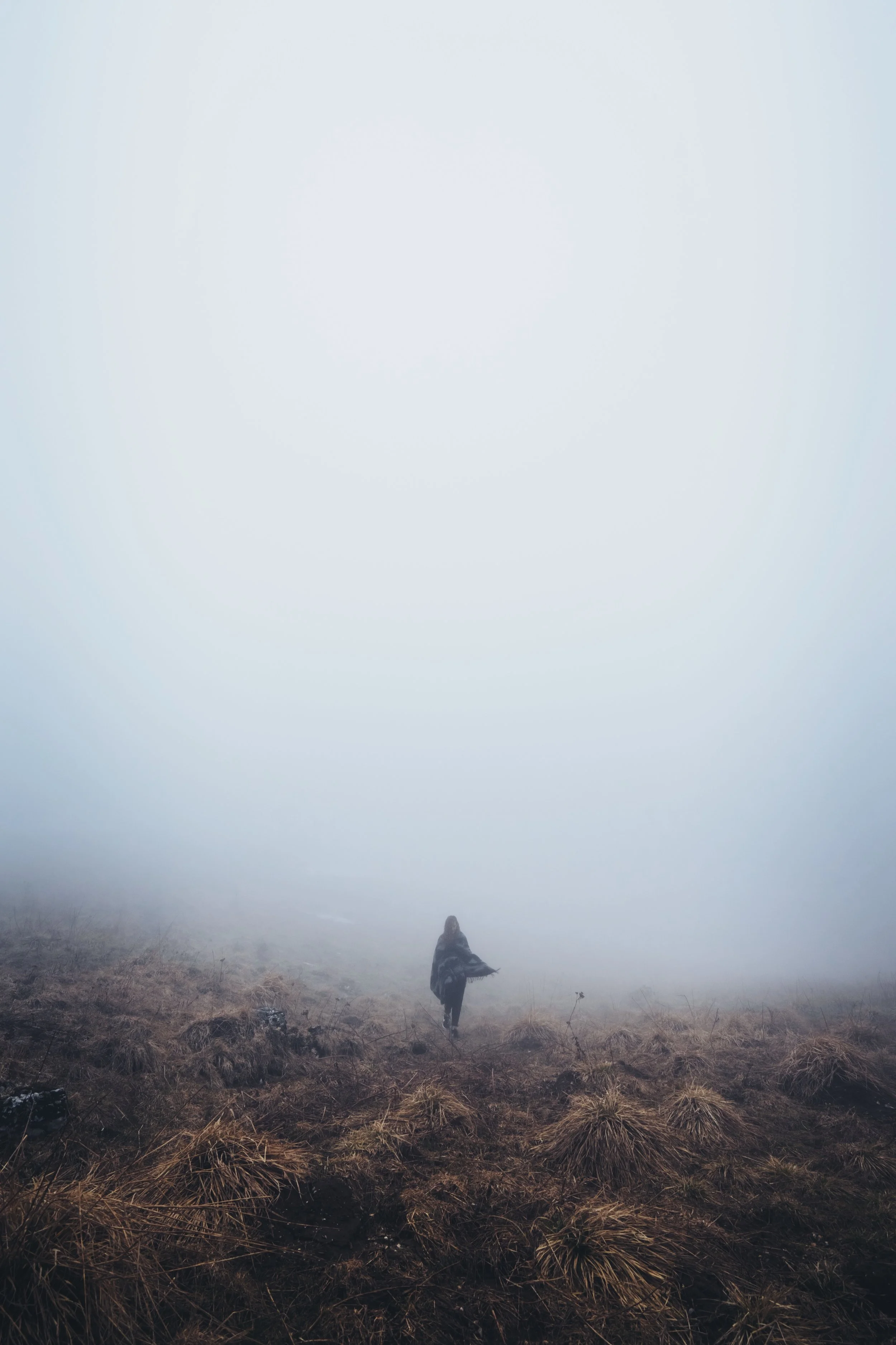 The Fog