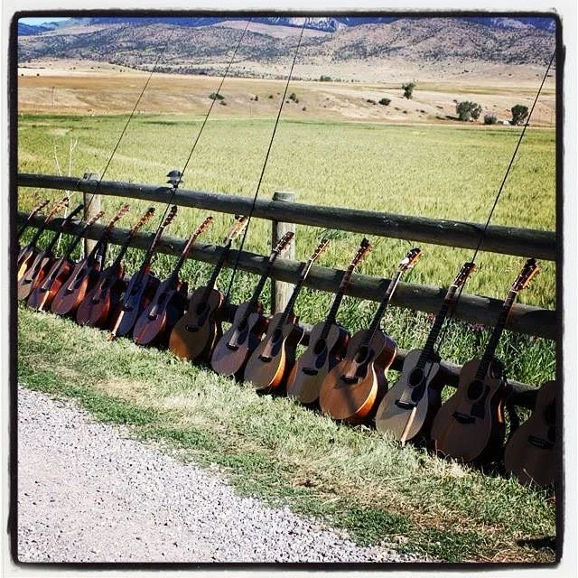 Meanwhile, Back At The Ranch