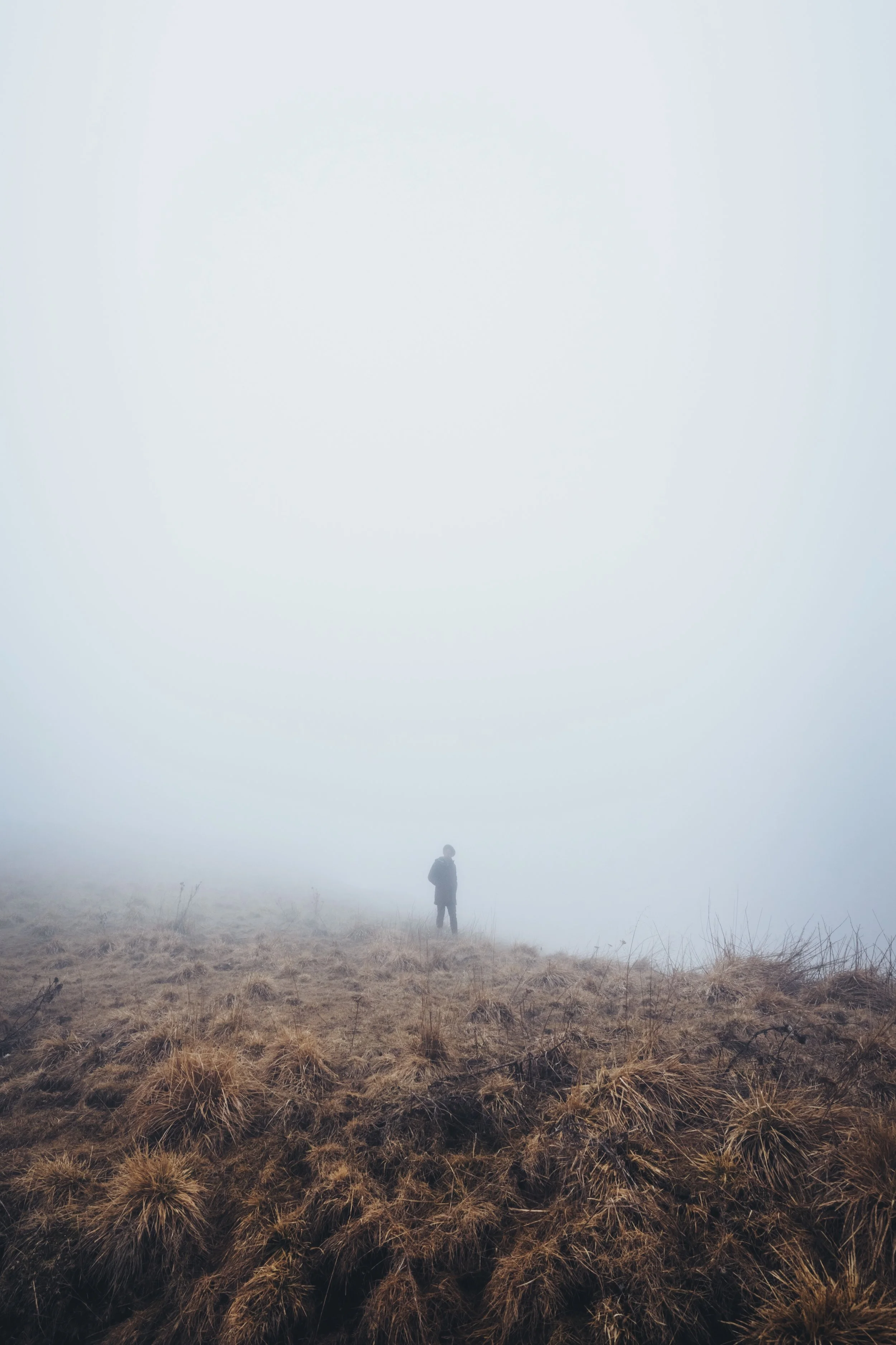 The Introvert