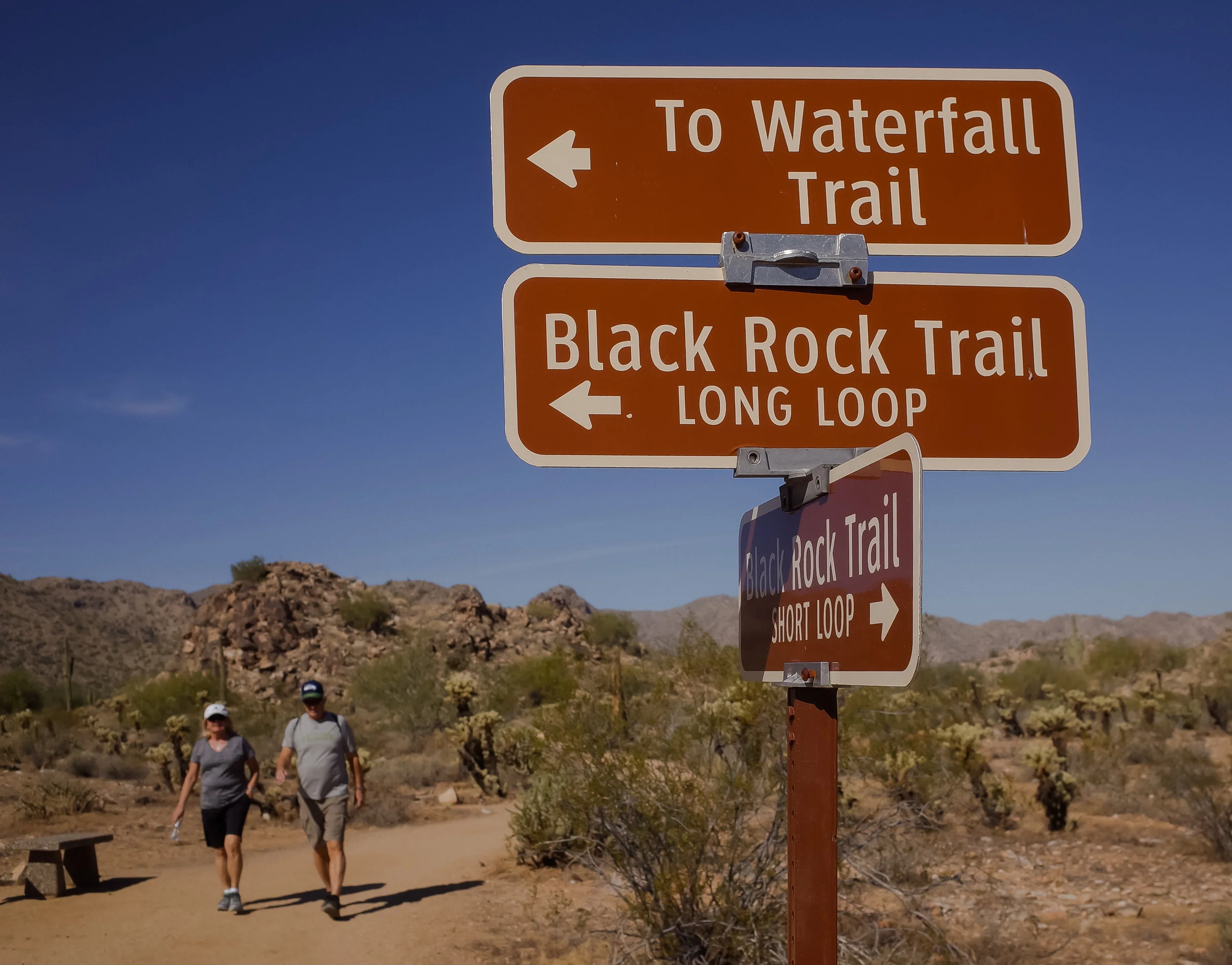 Hike Mule Deer Trail with Waterfall Trail Option White Tank