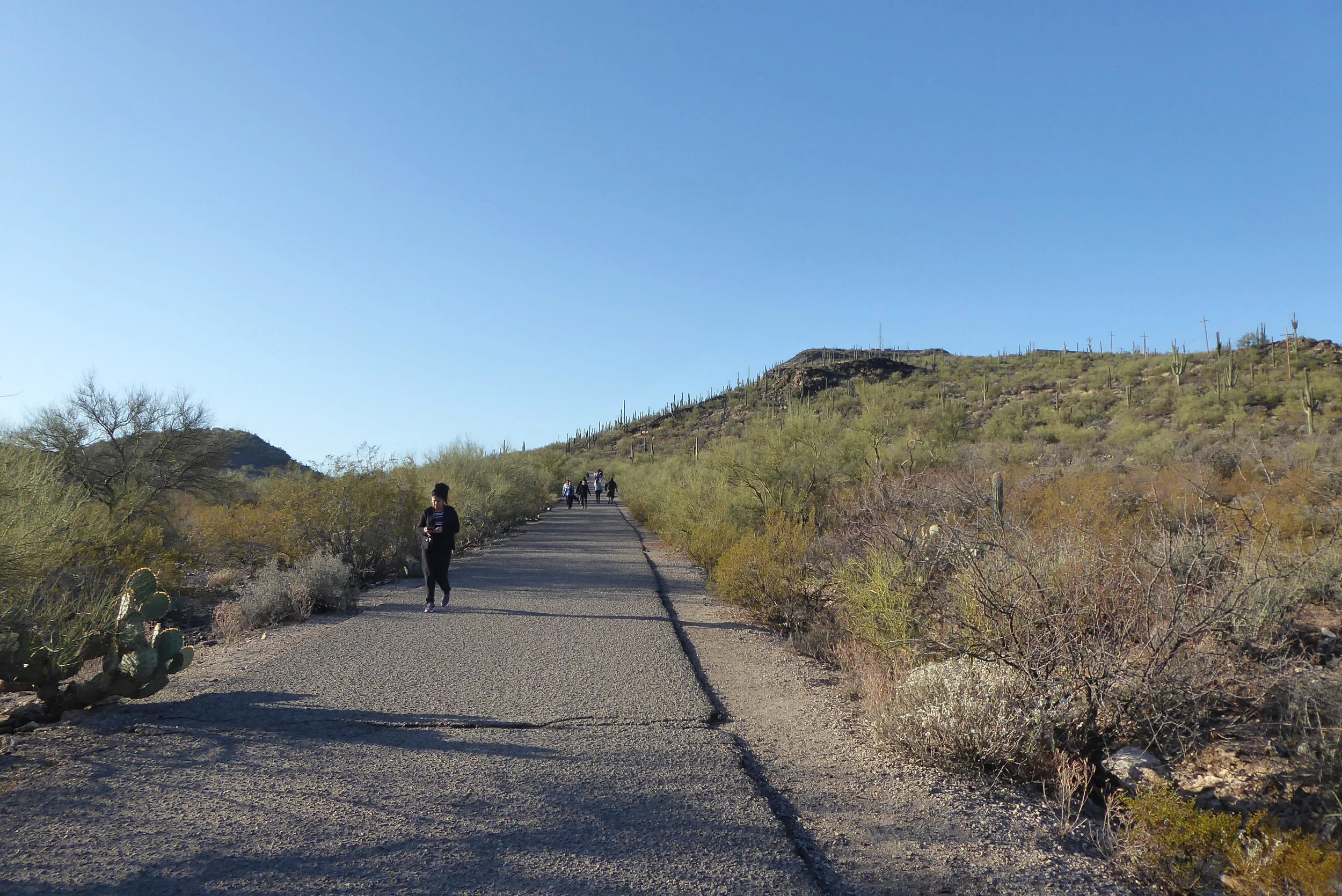 Hike Tumamoc Hill Tucson Mountain Range — Arizona Hikers Guide