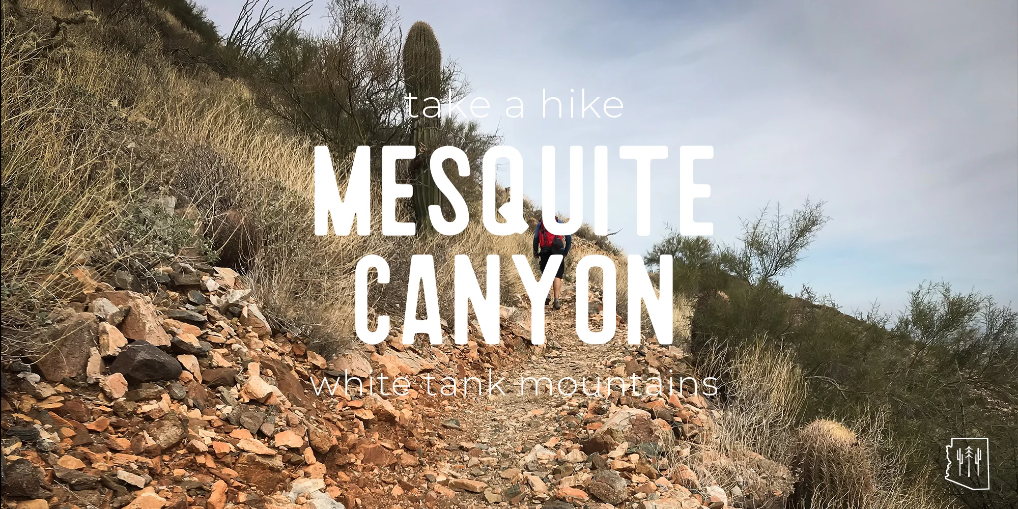 mesquitecanyon.jpg