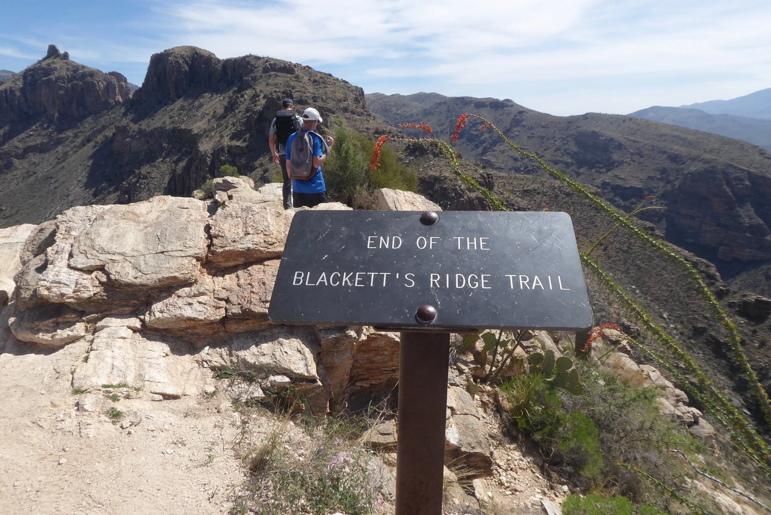 Hike Blackett's Ridge Tucson — Arizona Hikers Guide