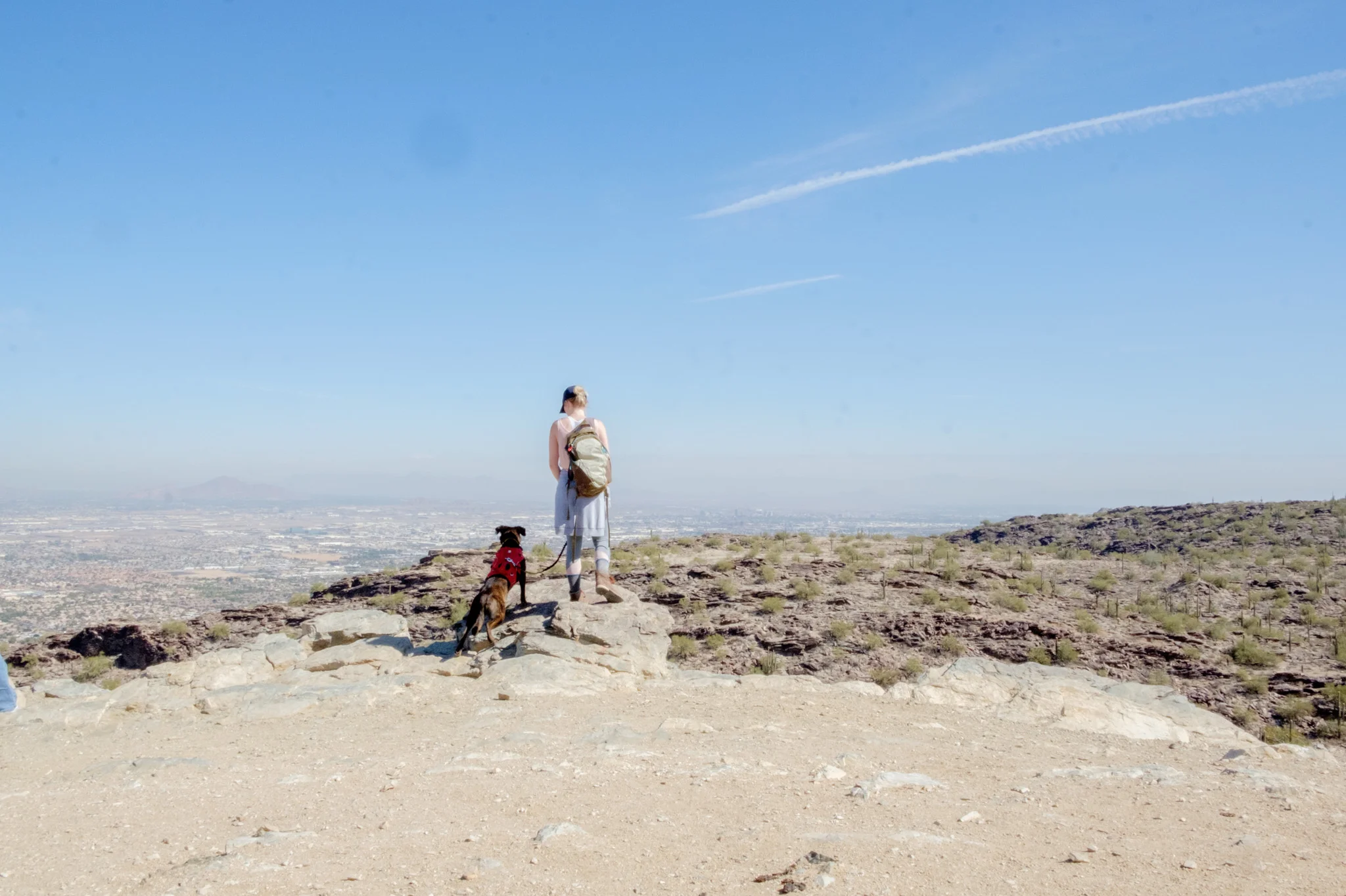 10 DogFriendly Hikes in Phoenix, AZ — Arizona Hikers Guide