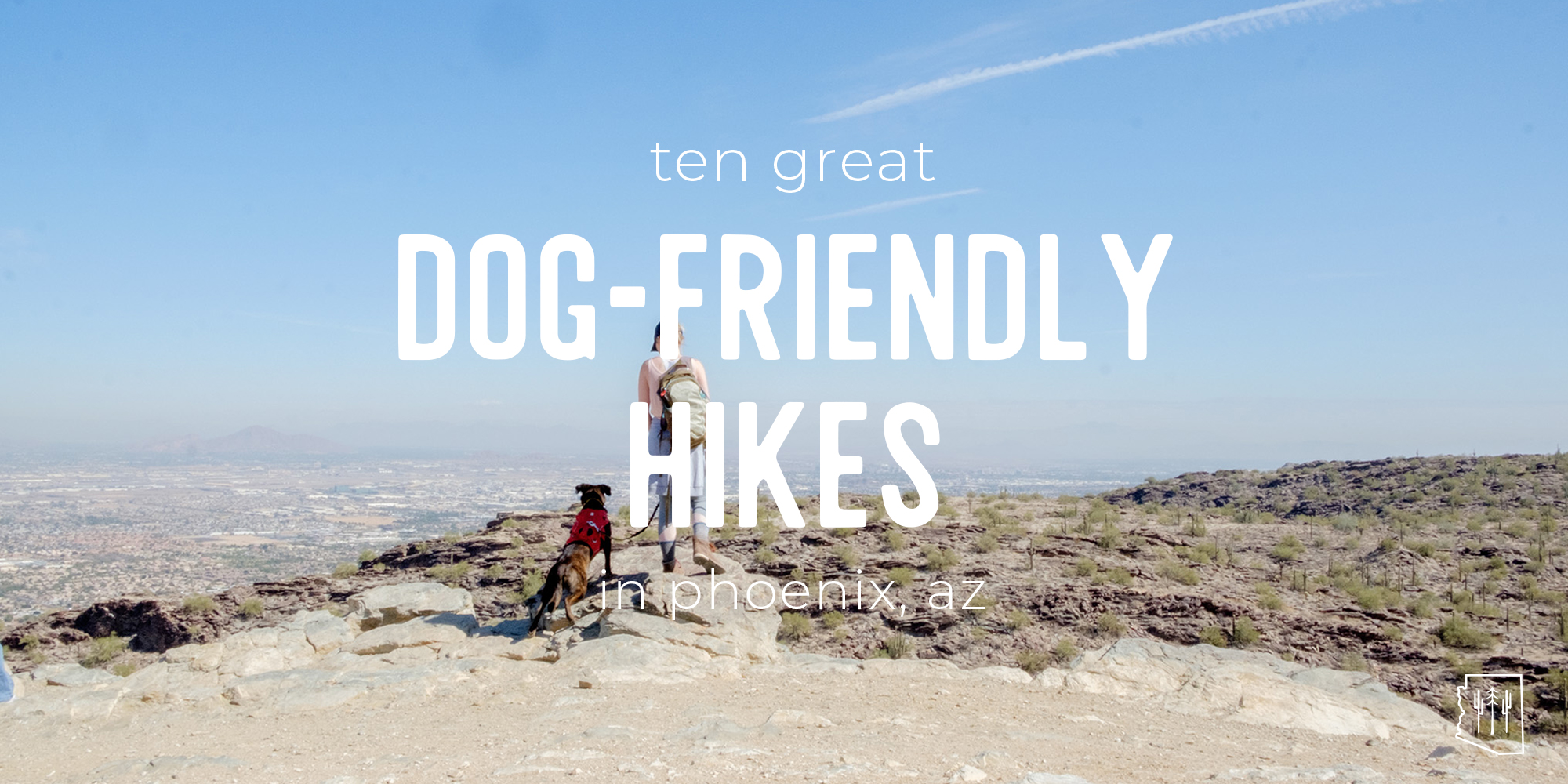 dog friendly walks blue mountains