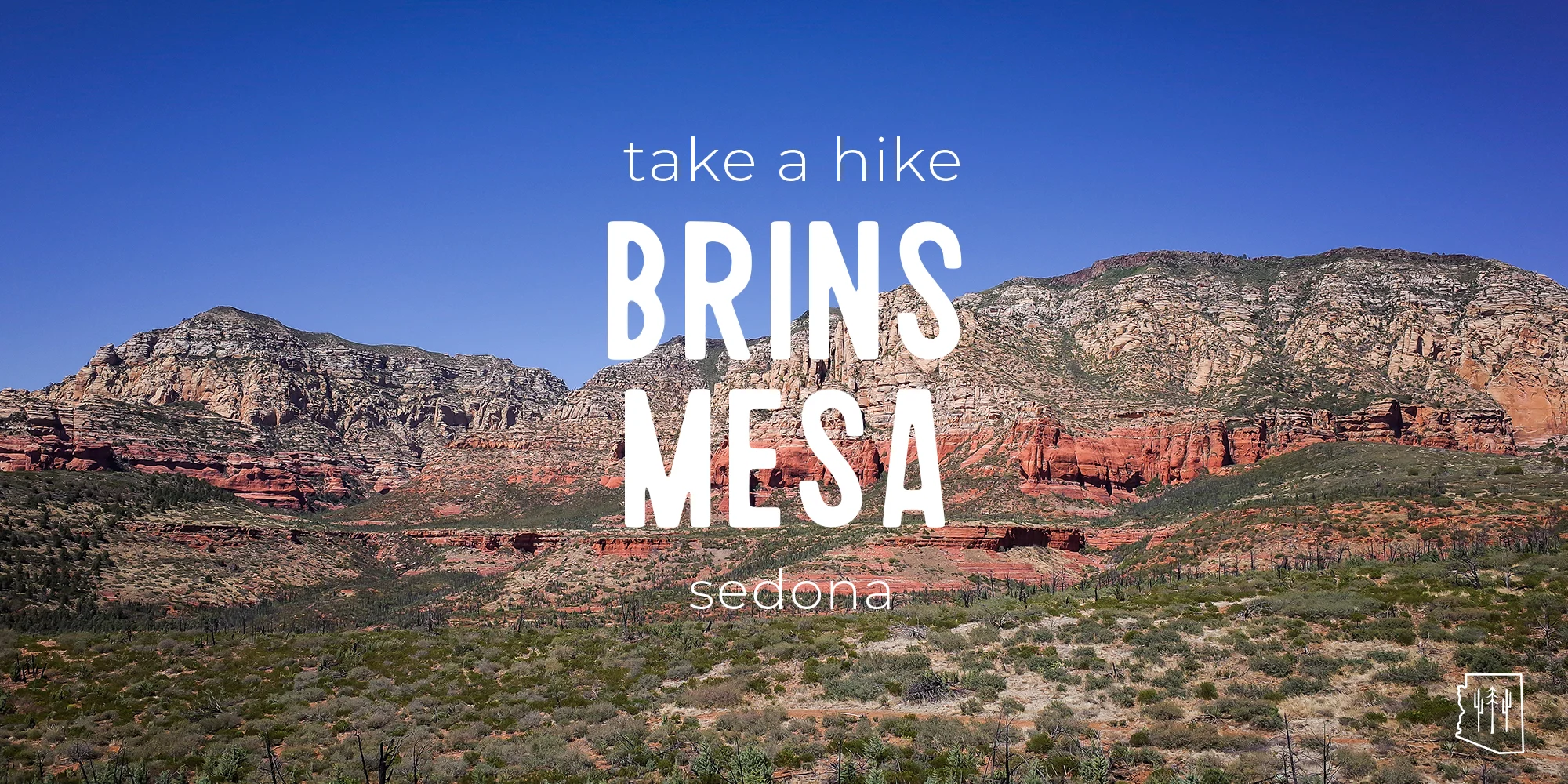 brinsmesa.jpg
