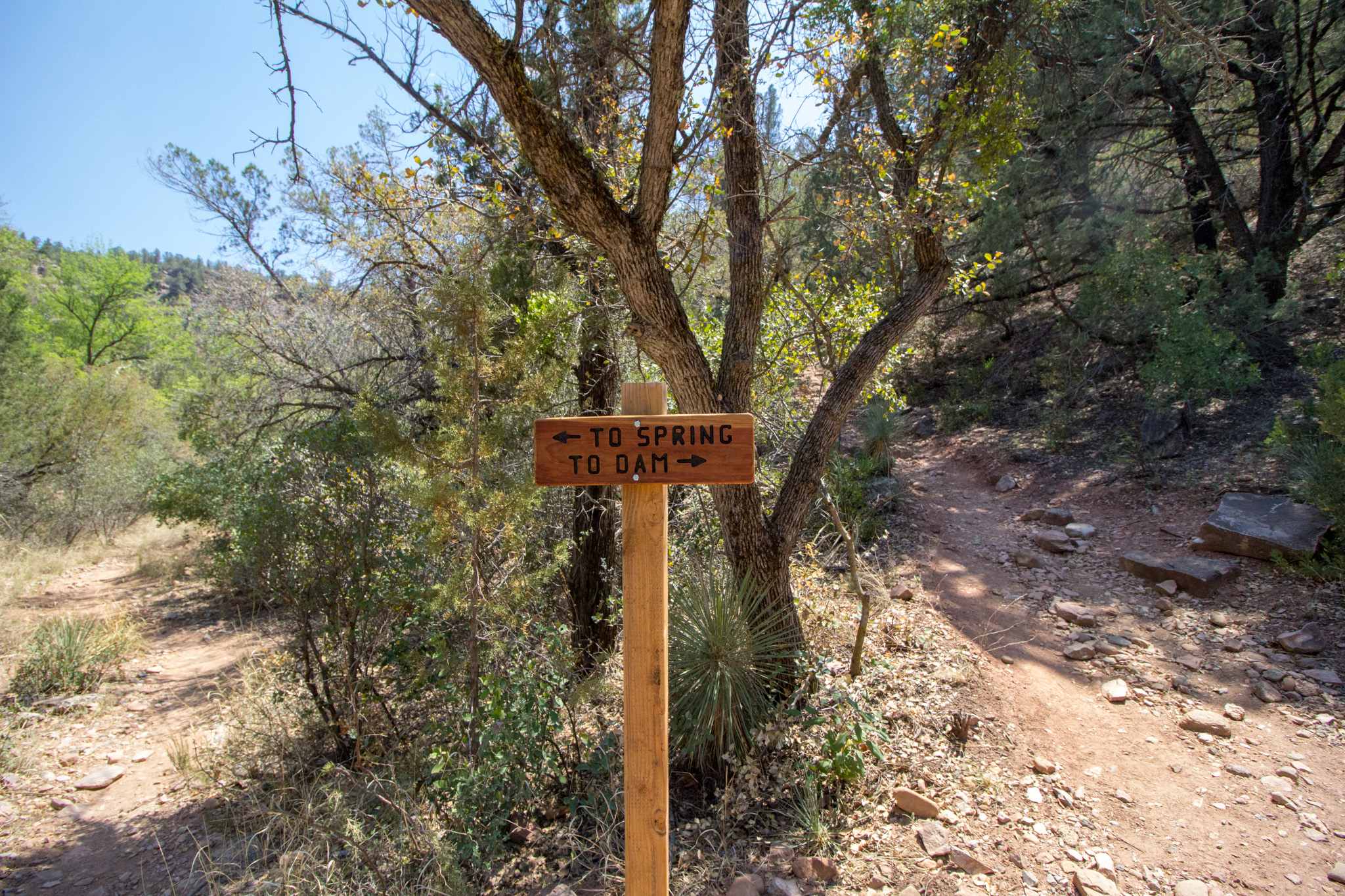 Hike Fossil Creek Strawberry Arizona Hikers Guide