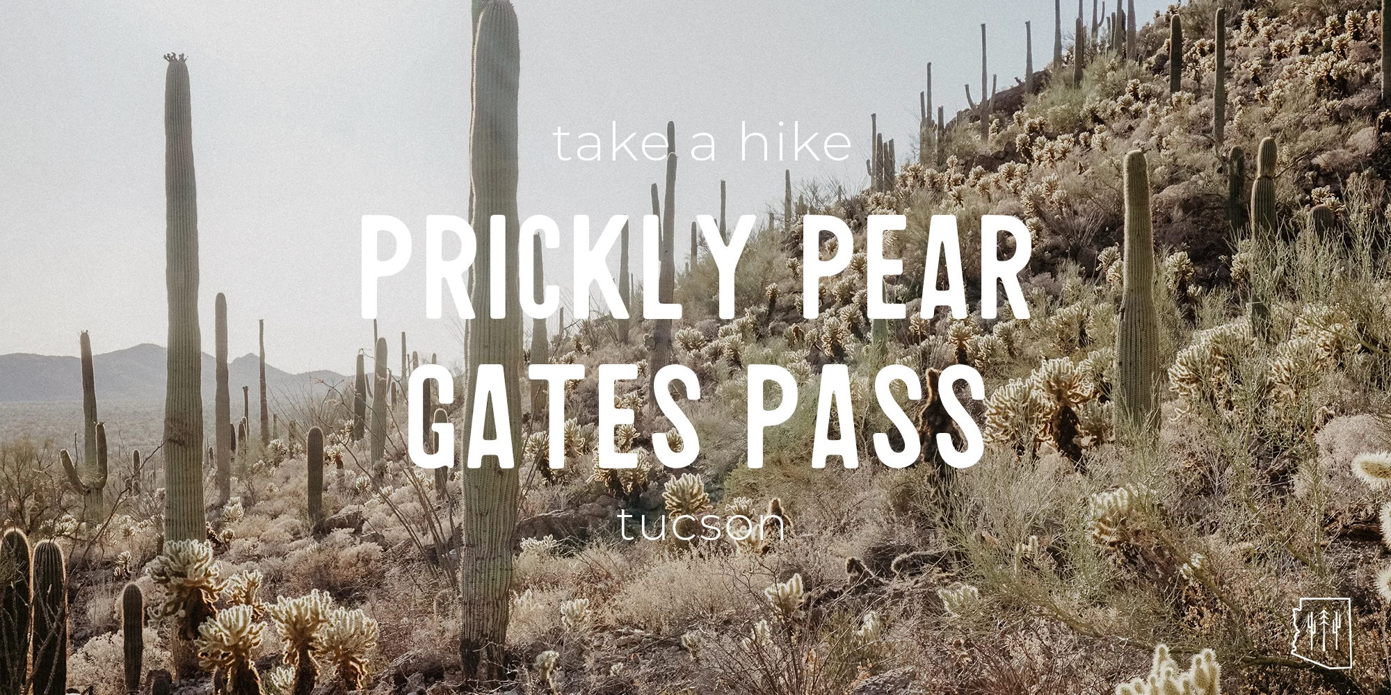 pricklypeargatespass.jpg