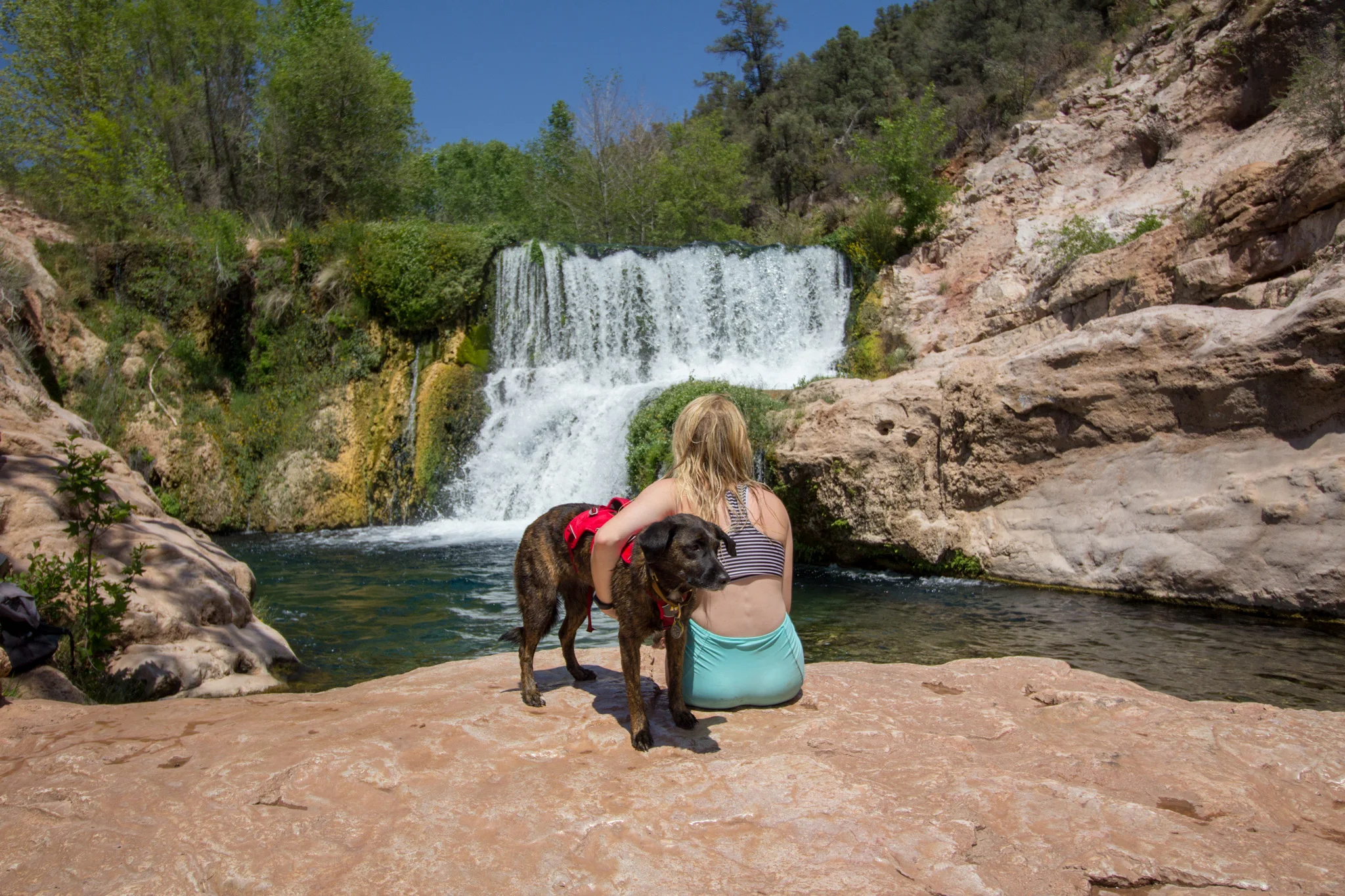 5 Dog Friendly Water Hikes In Arizona Arizona Hikers Guide 5-dog-friendly-water-hikes-in-arizona-arizona-hikers-guide