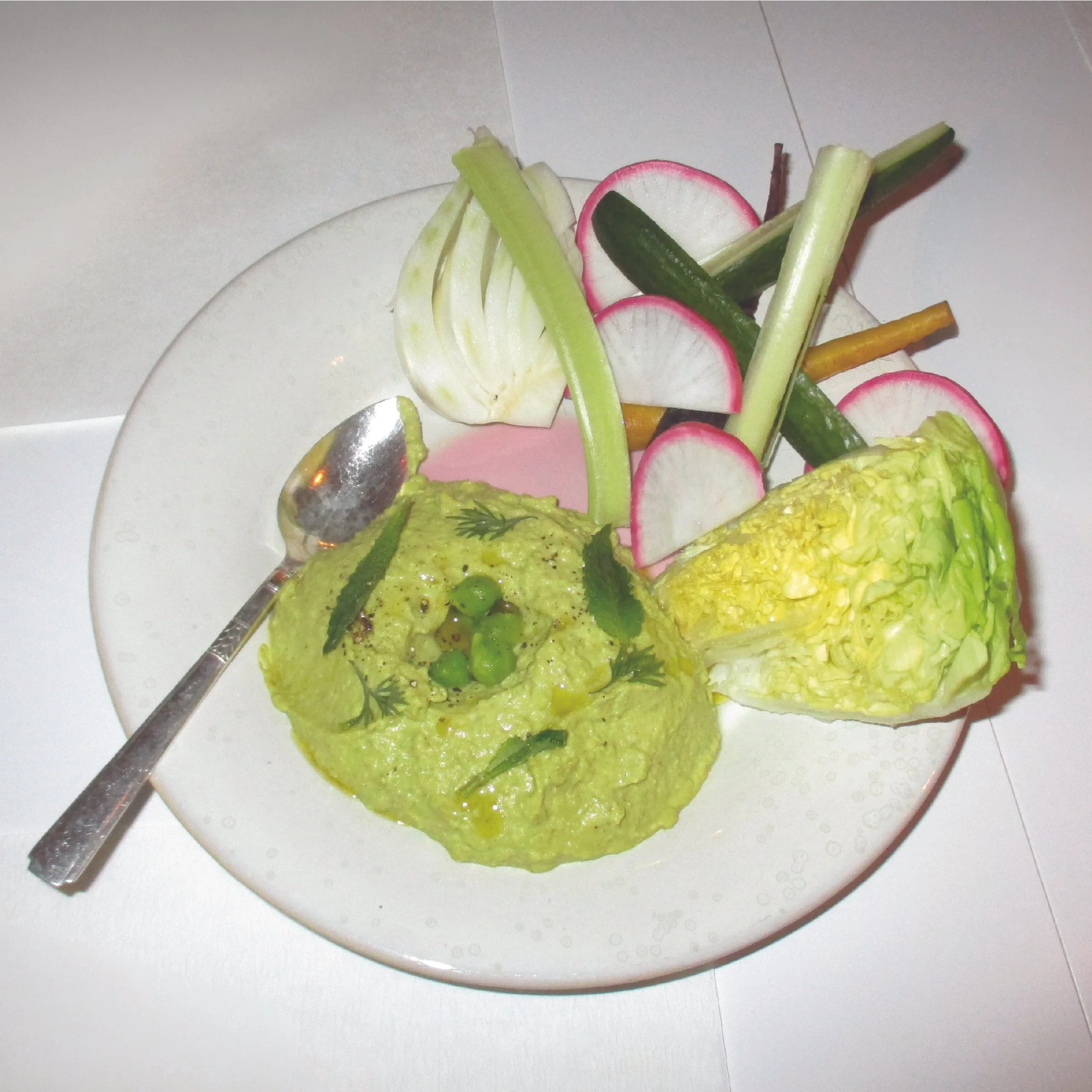 maddy masa x abcv - square-02.jpg