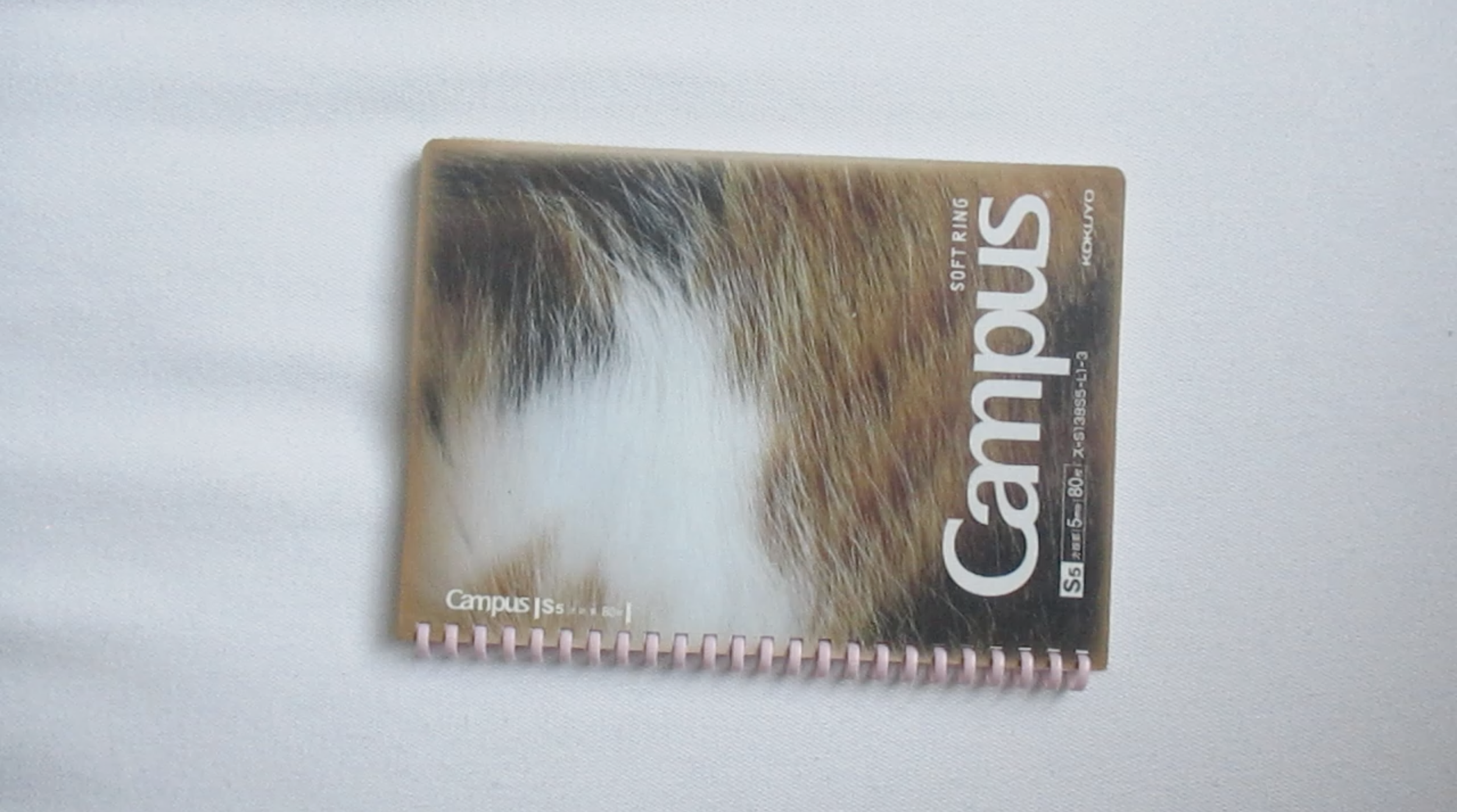 Screenshot 2026-02-13 at 9.29.39 PM.png