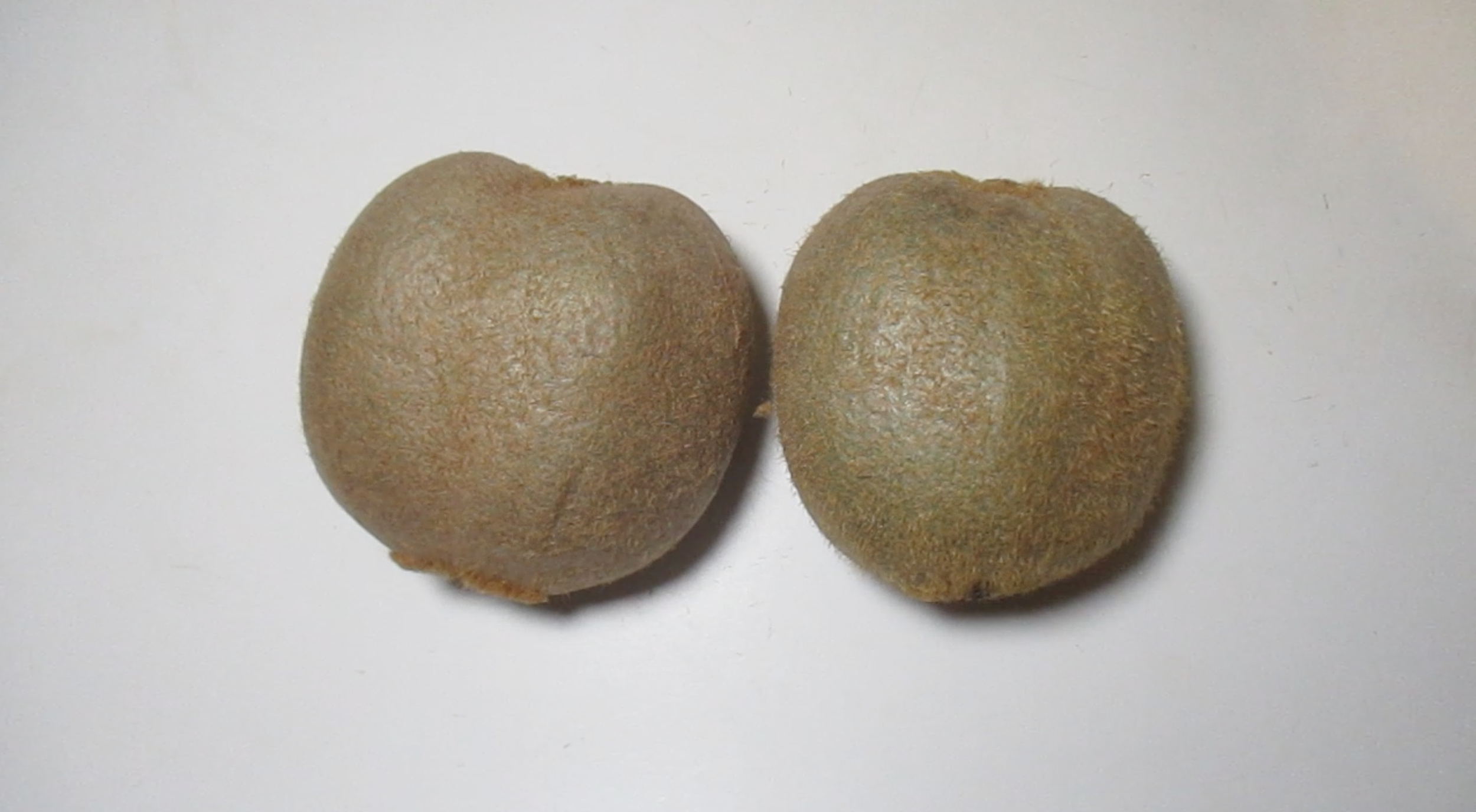 Screenshot 2026-02-14 at 1.29.12 PM.png