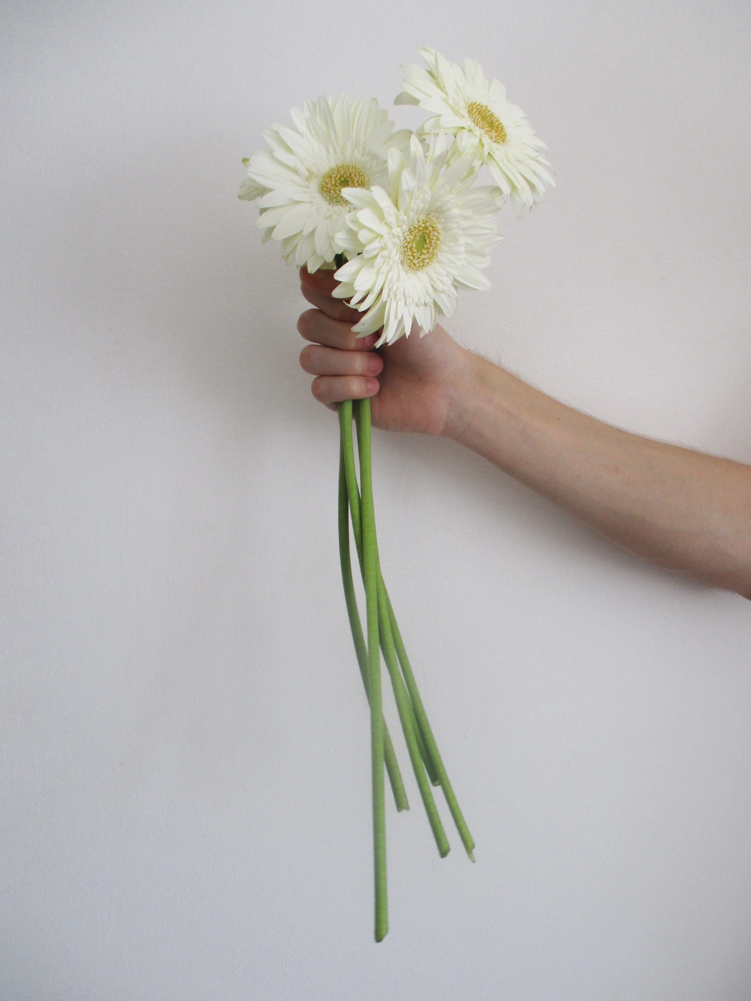 flowers 1.JPG