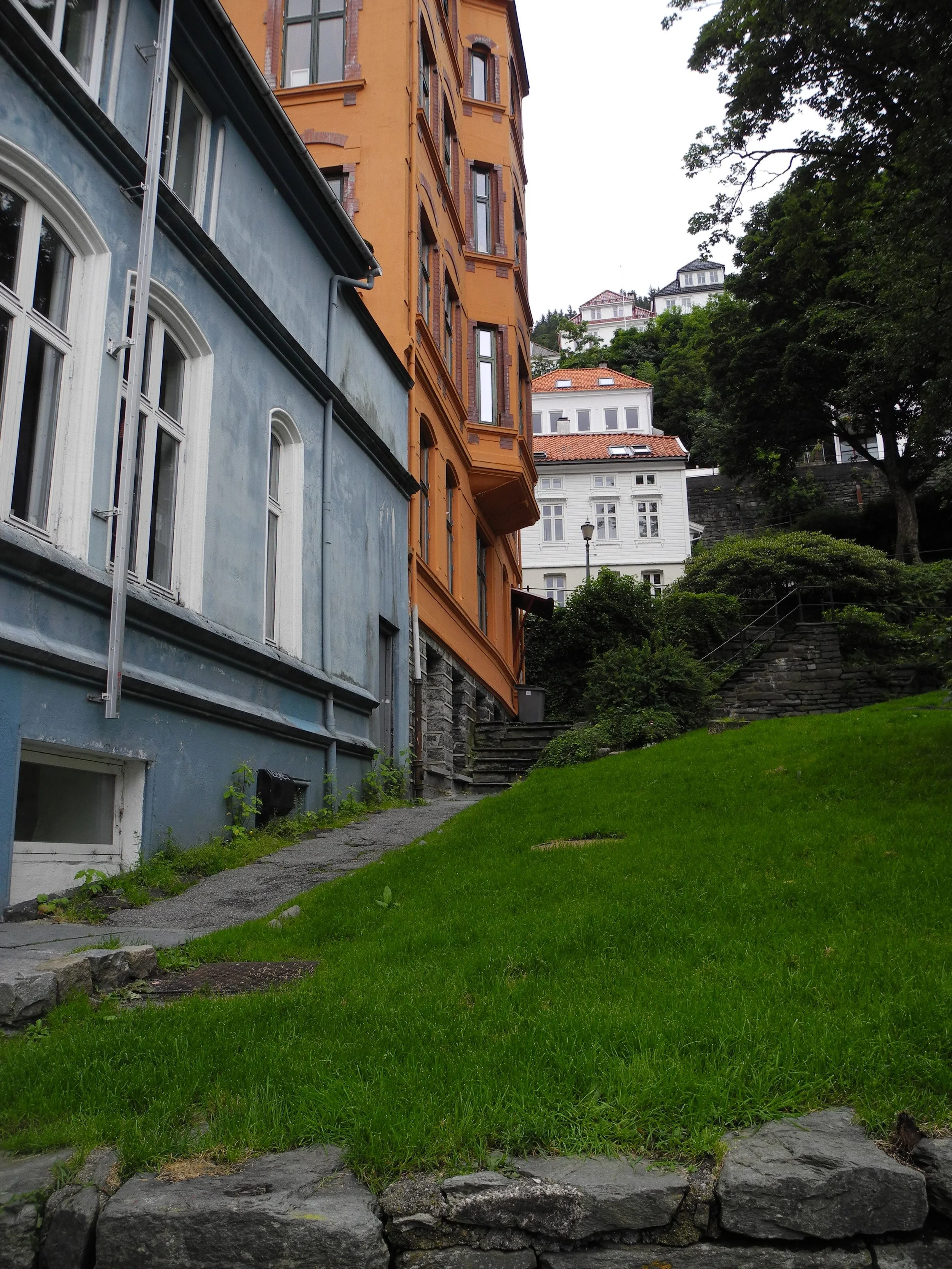 DSCN1552.JPG