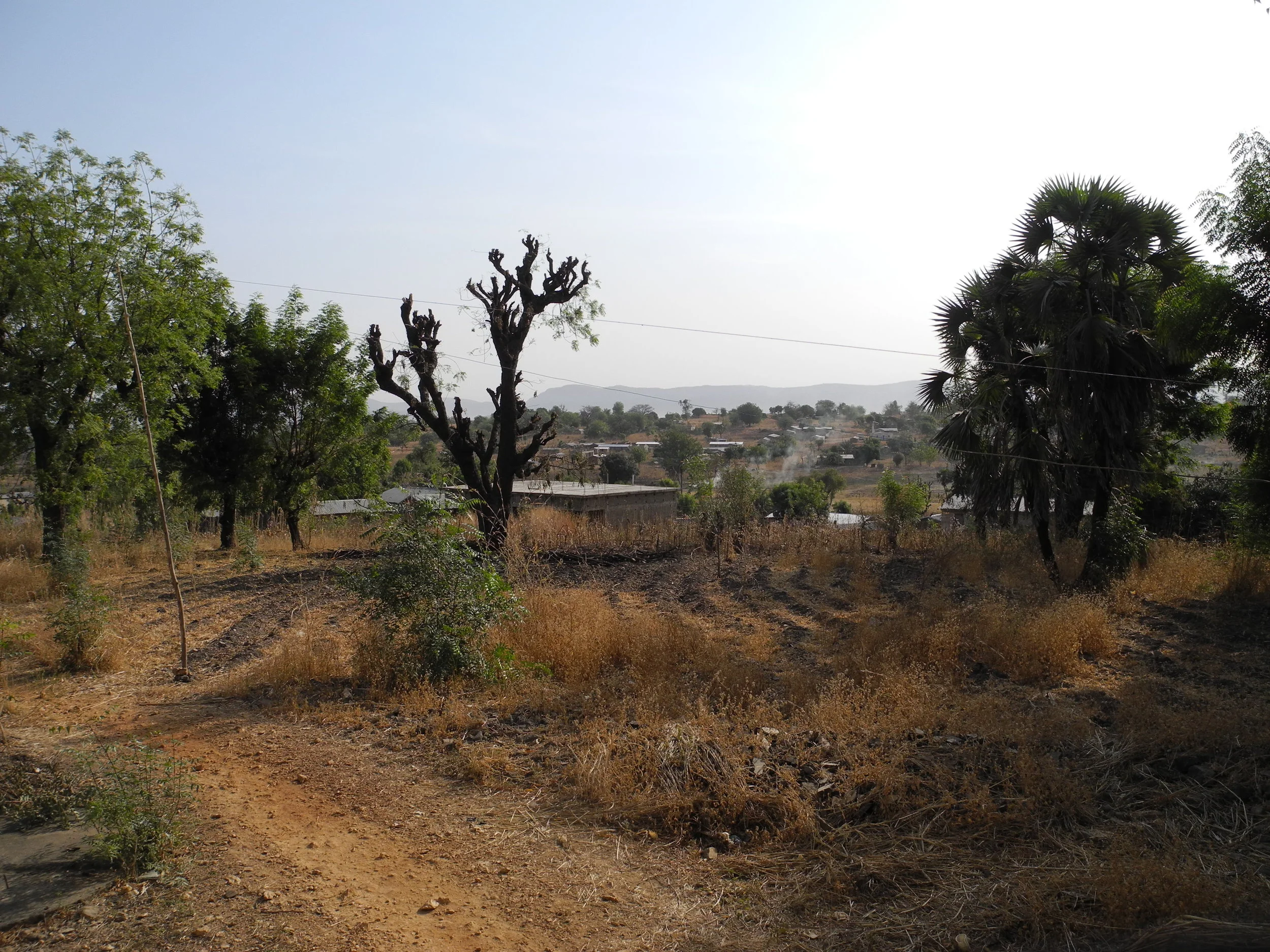 DSCN1060.JPG