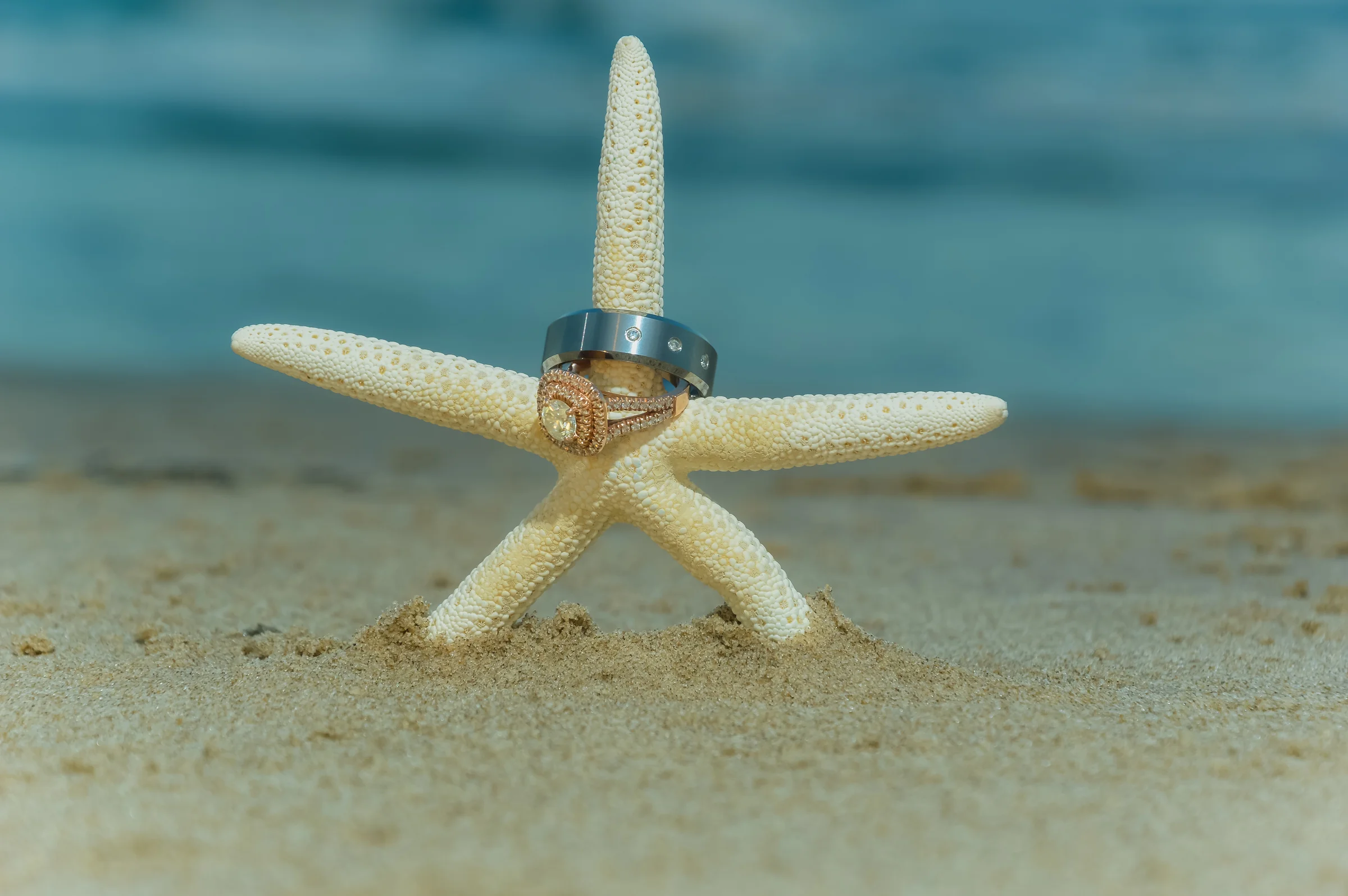 Starfish with Rings