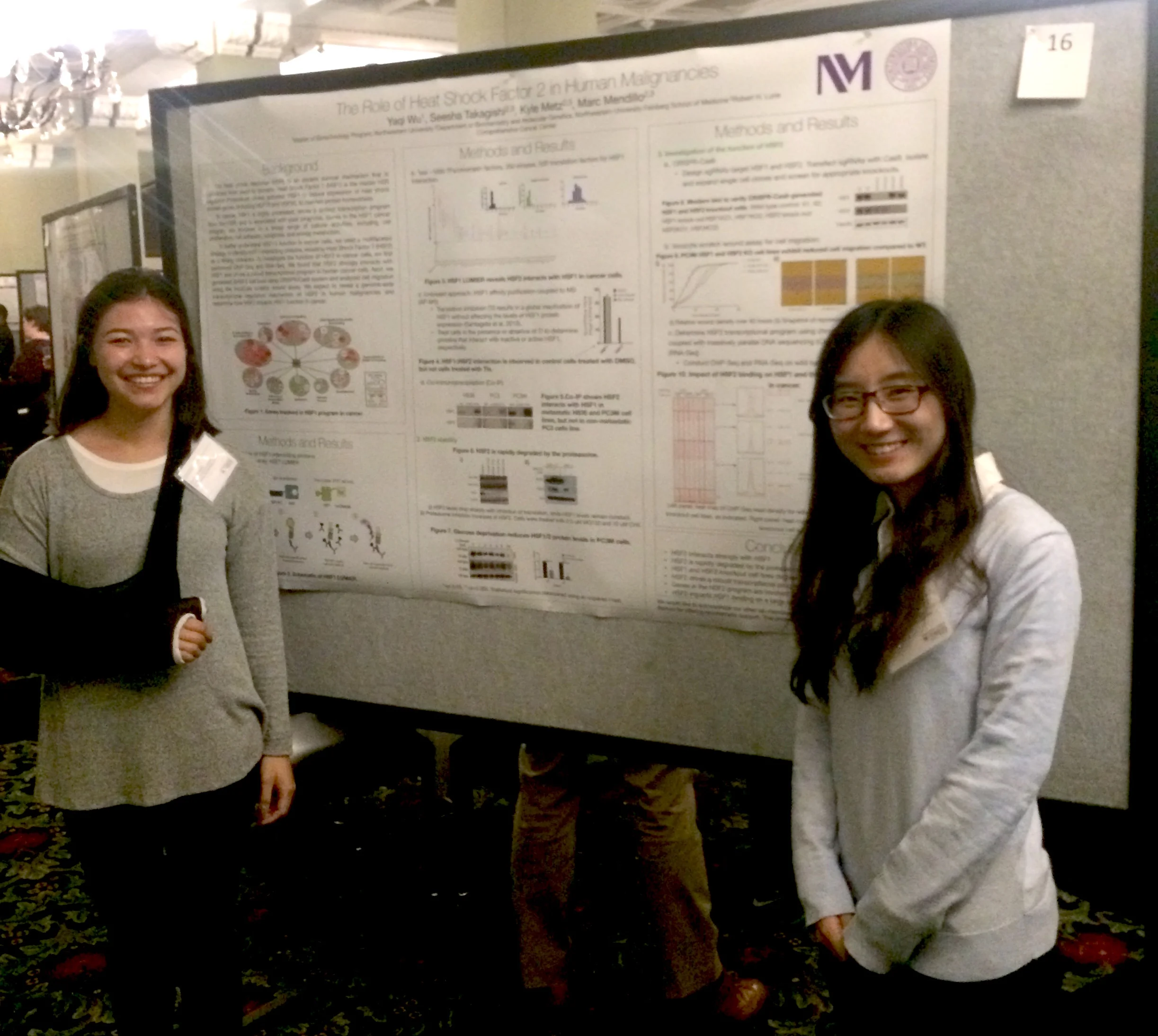 Yaqi and Seesha present their poster on HSF2.