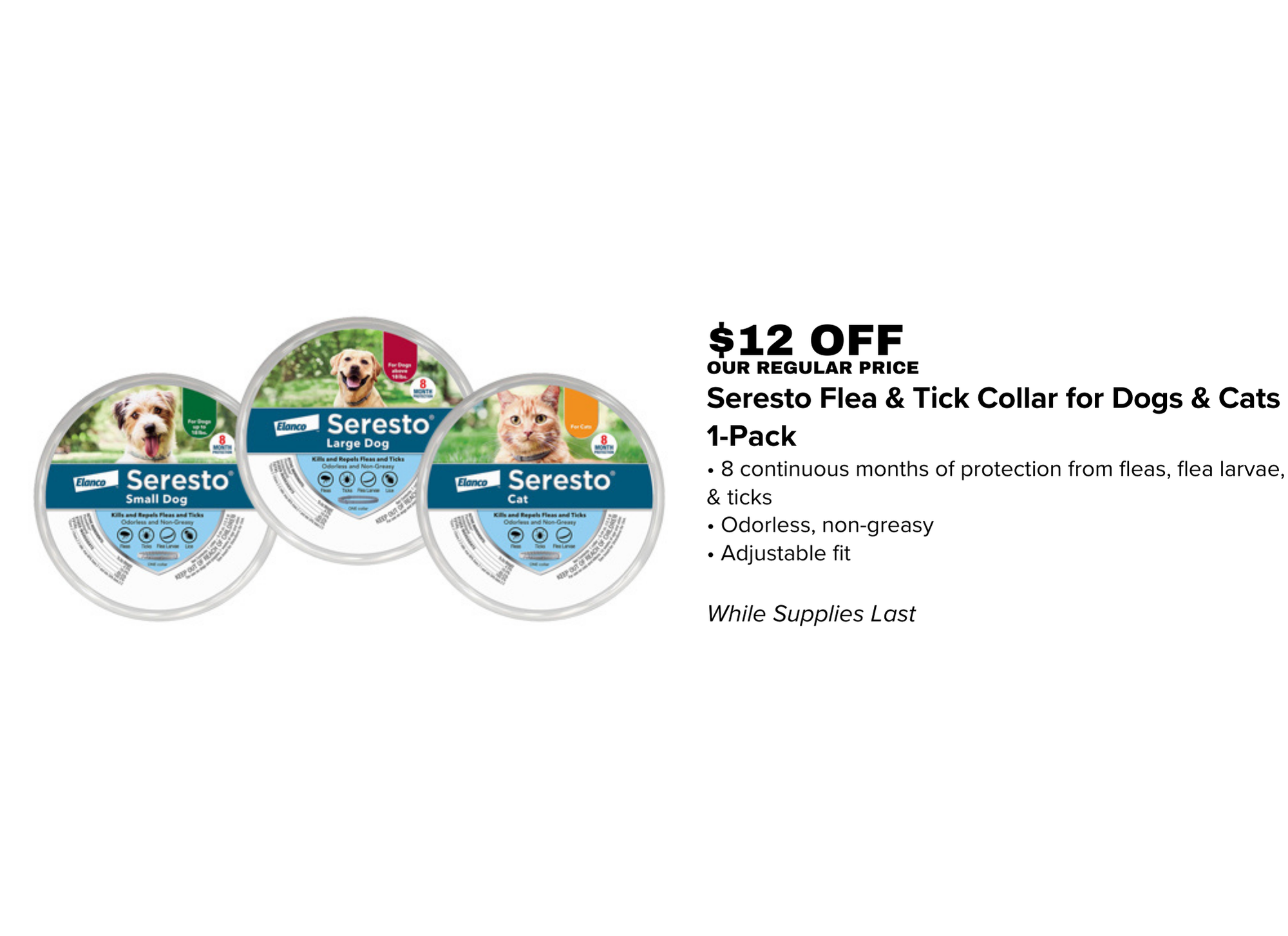 Super Discount Promotions — PET CLUB