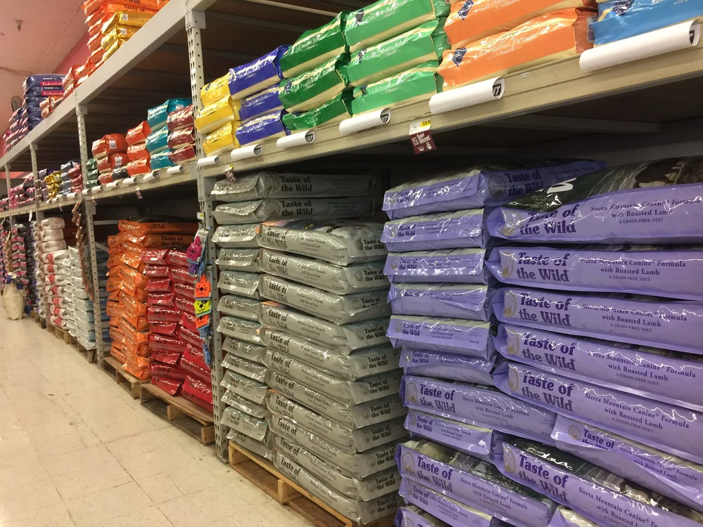 Pet Club San Jose California at Jewel Corbett blog