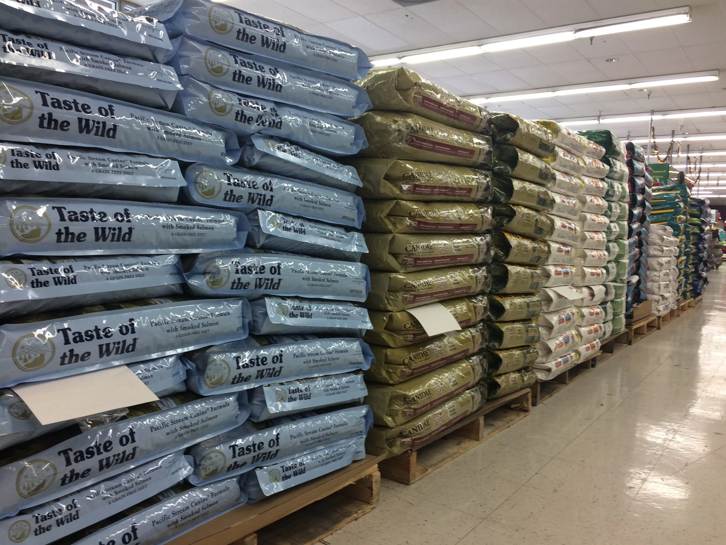 San Jose — PET CLUB