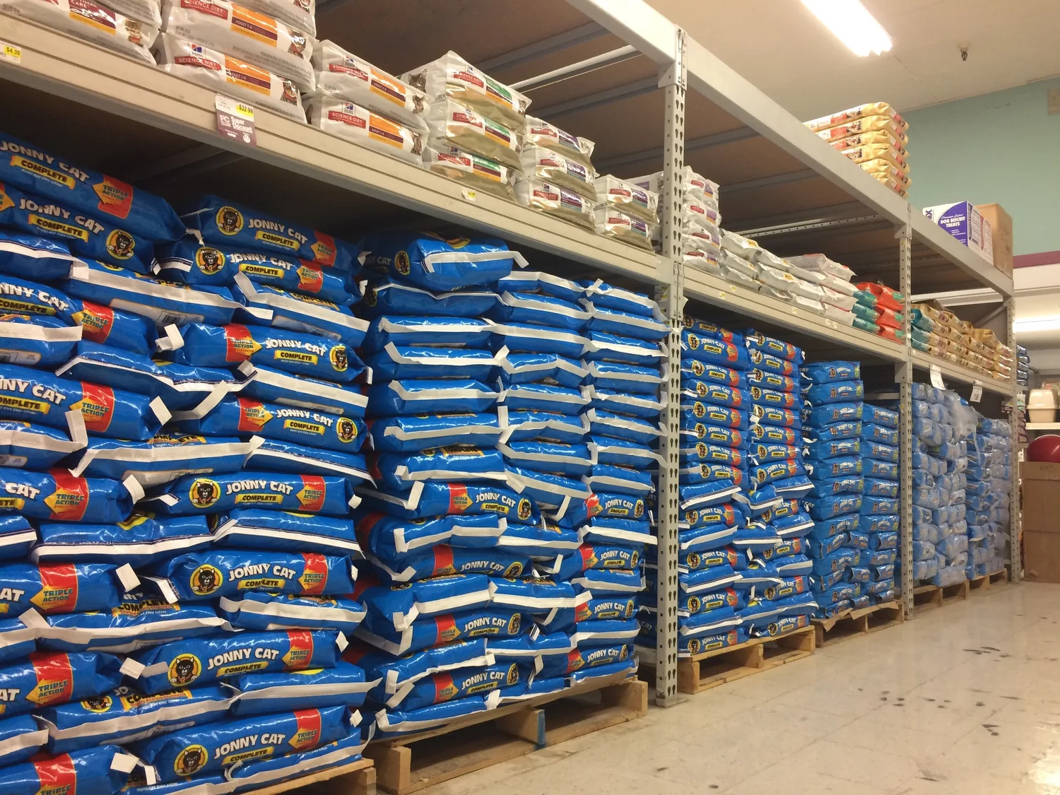 San Jose — PET CLUB