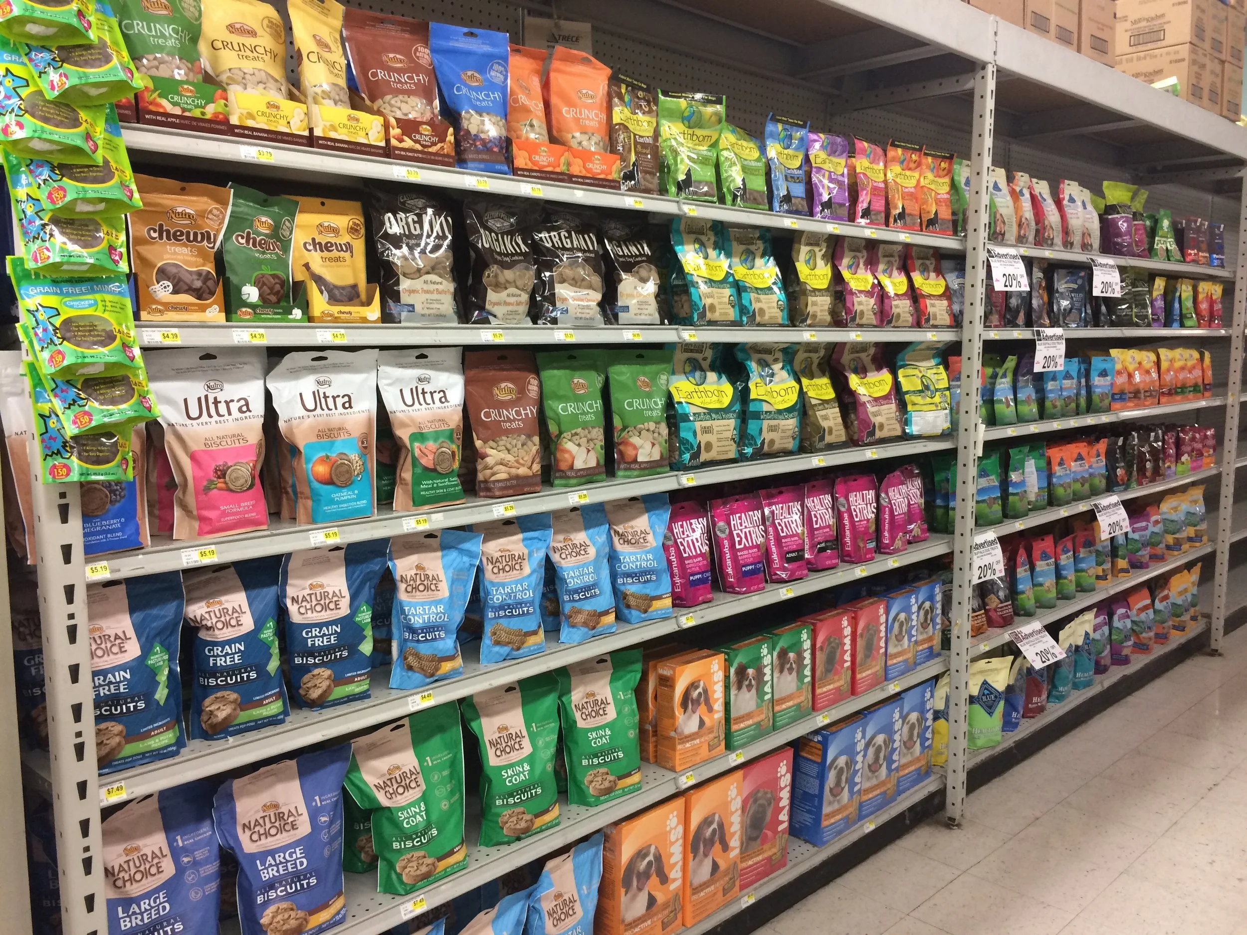 San Jose — PET CLUB