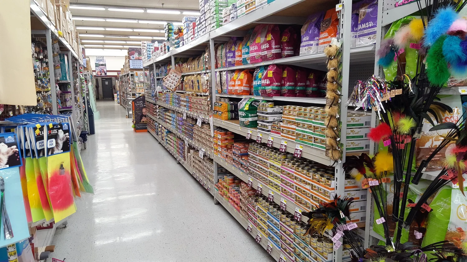 San Mateo — PET CLUB